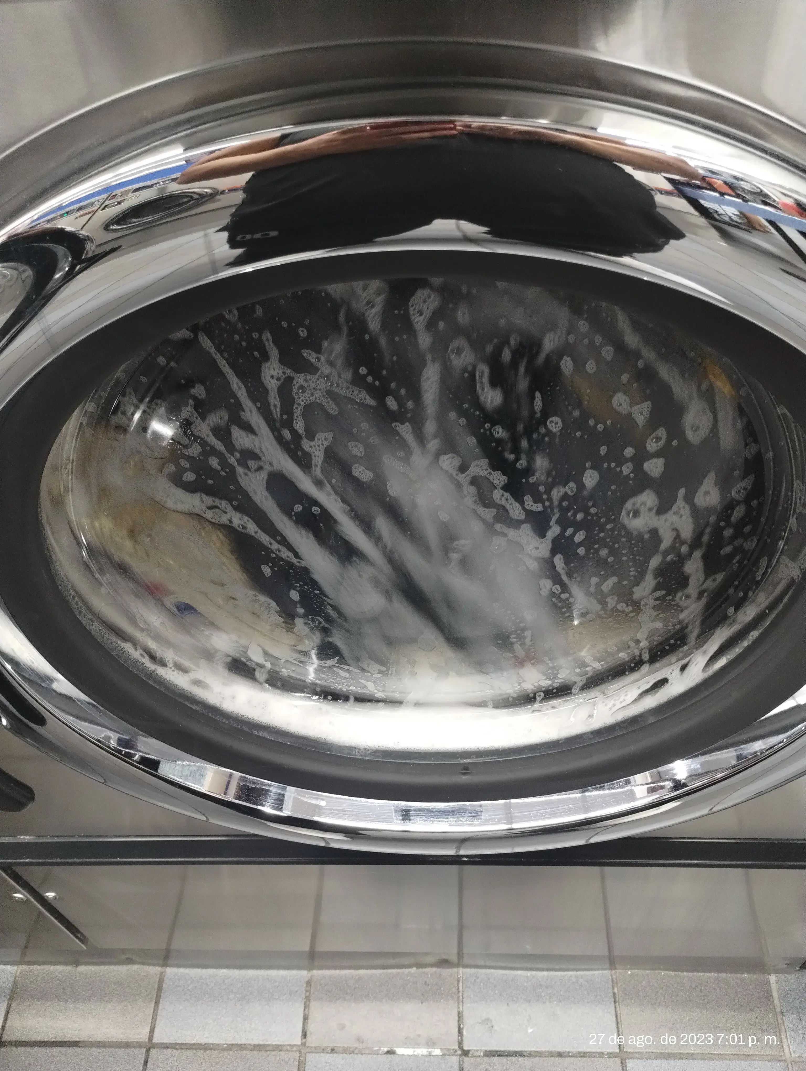 Blue Kangaroo - Image 17