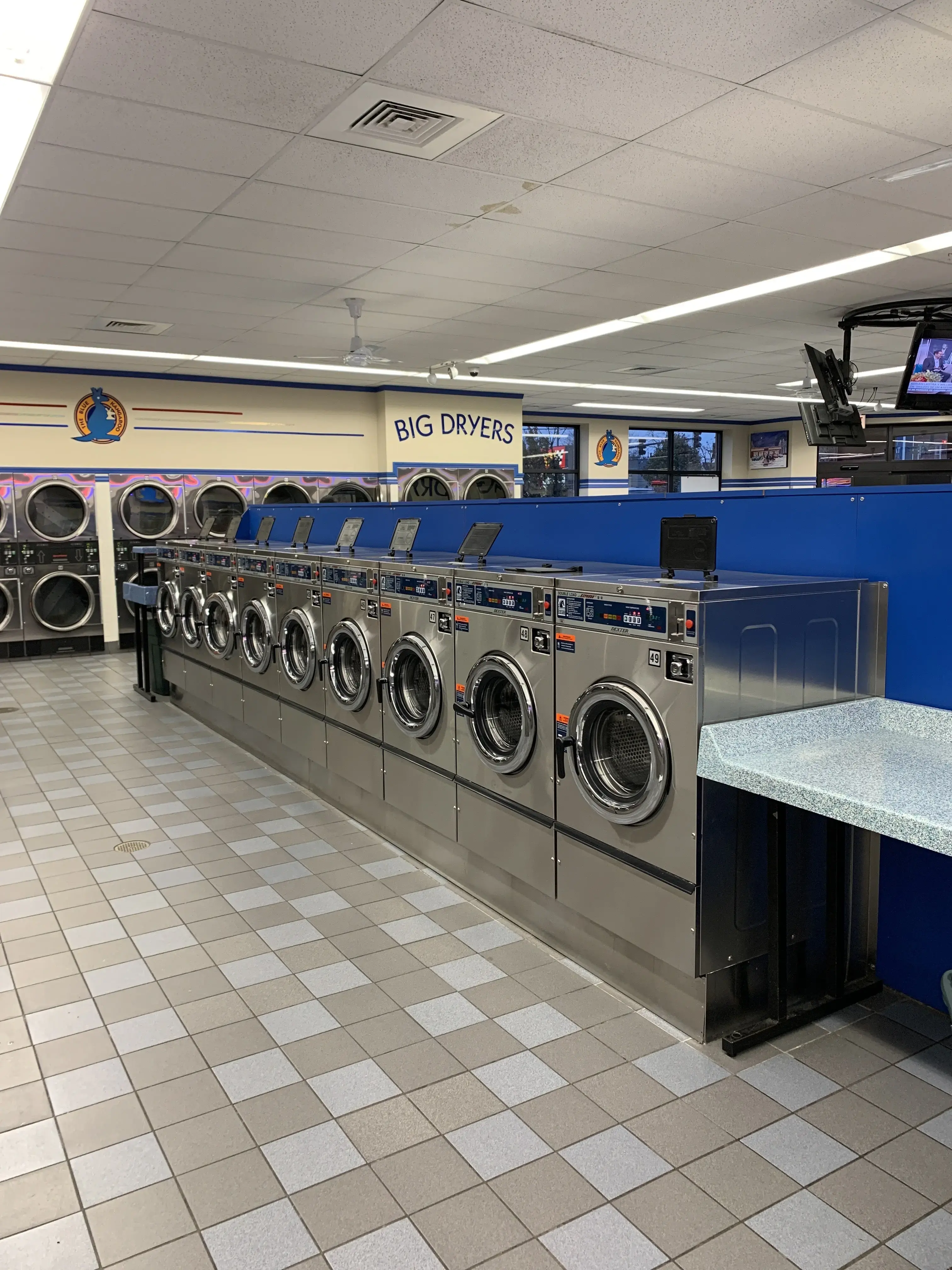 Blue Kangaroo location