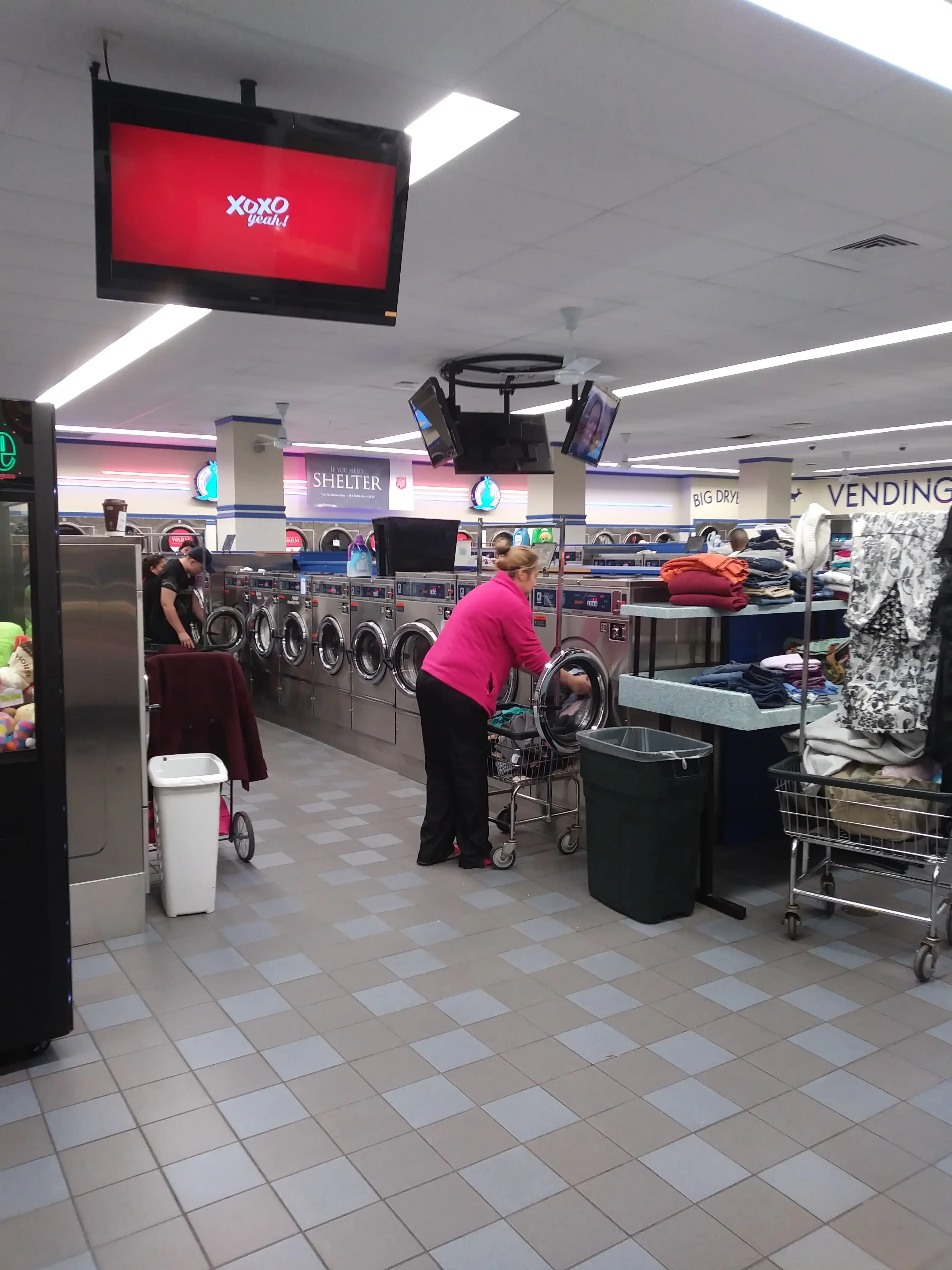 Blue Kangaroo thumbnail 7