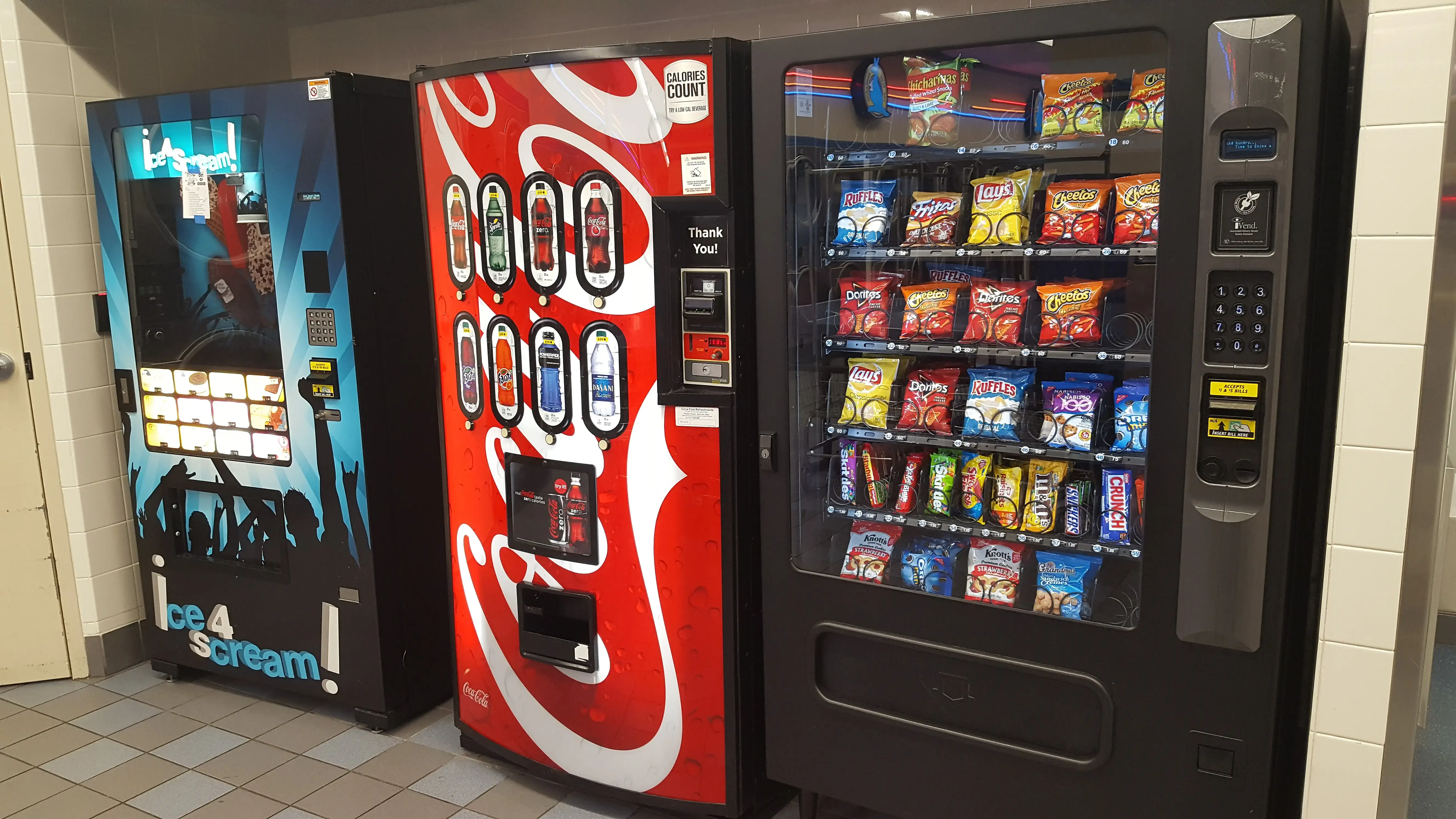 Blue Kangaroo - Image 9