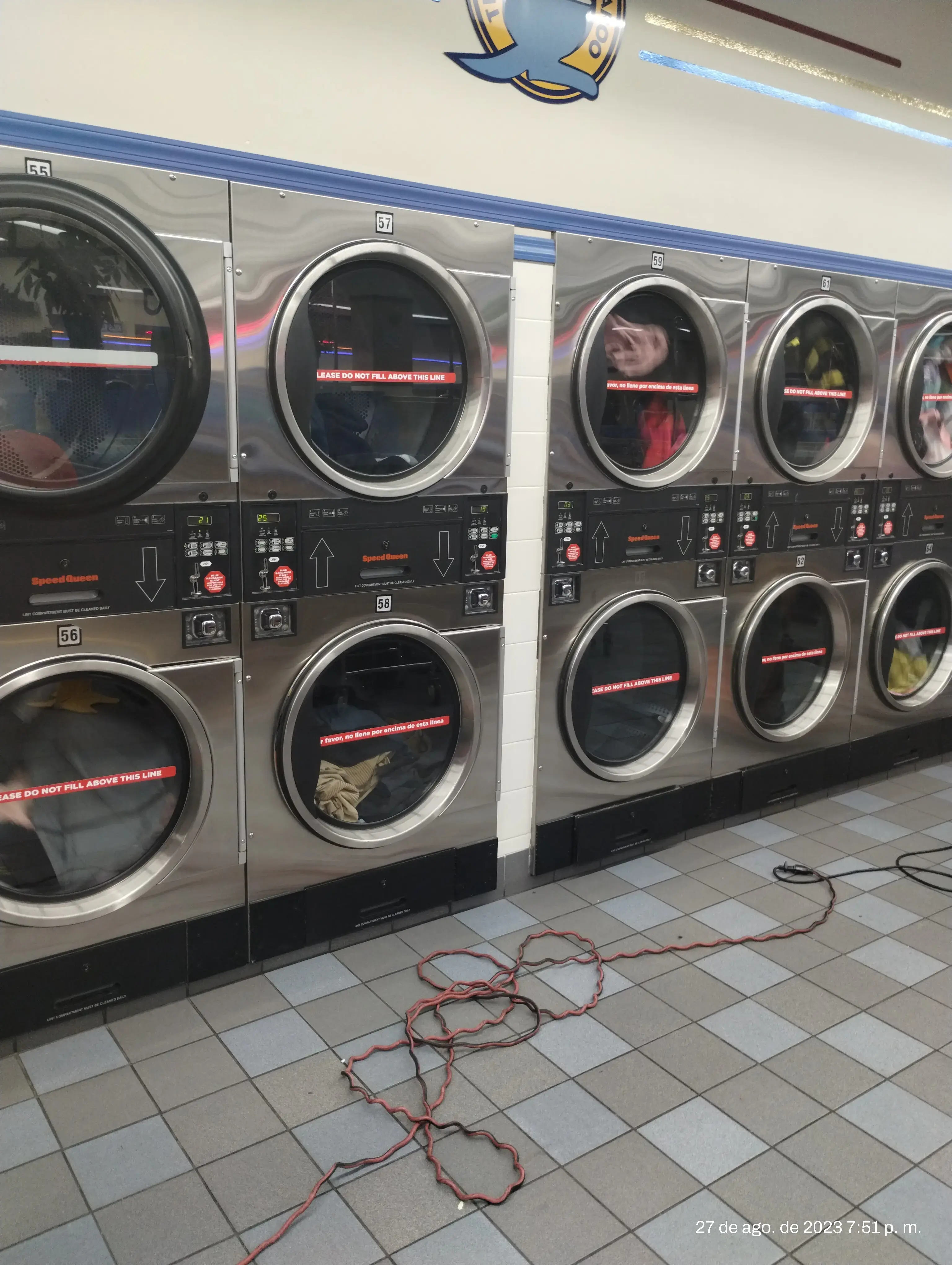 Blue Kangaroo - Image 4