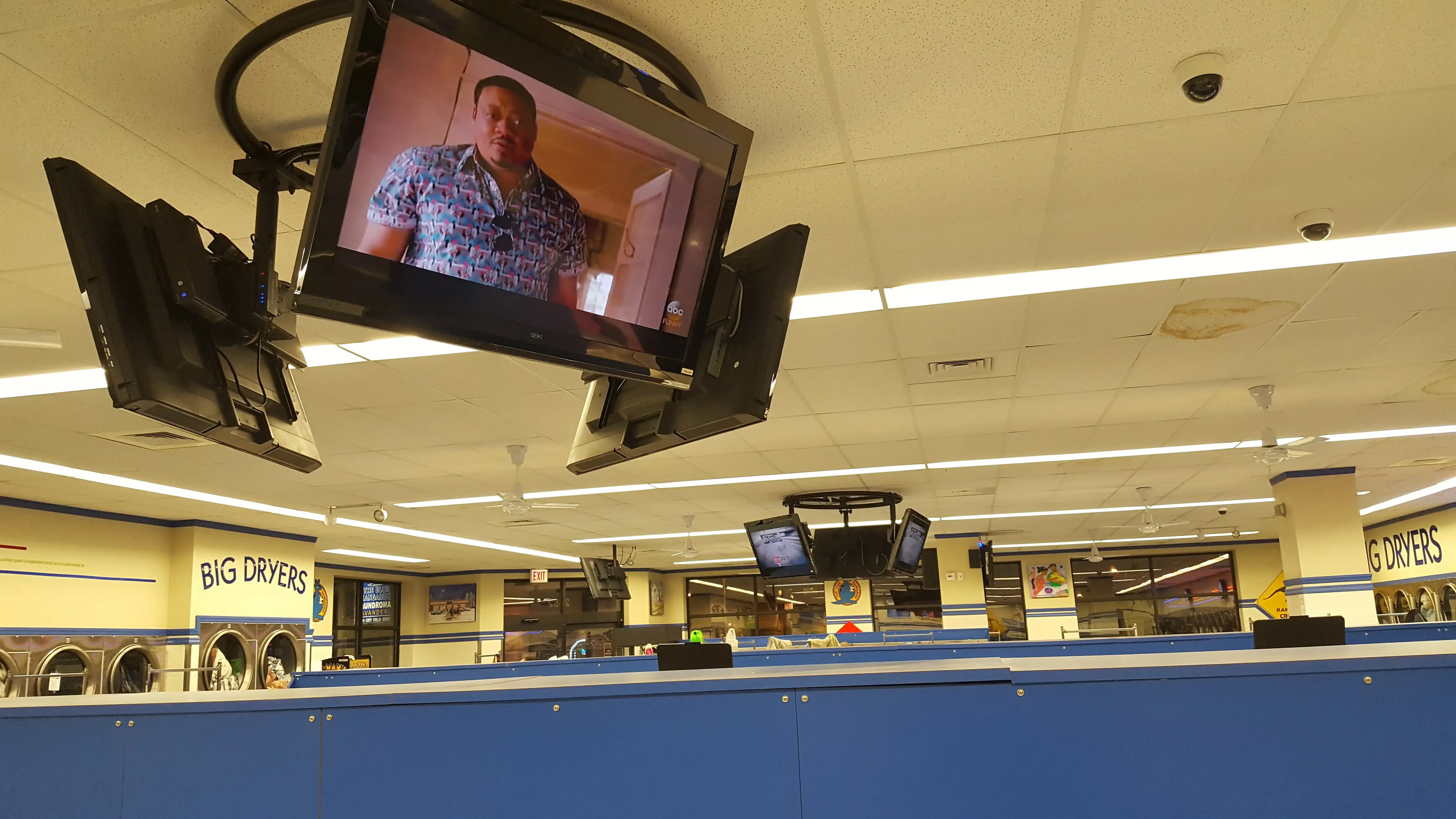 Blue Kangaroo - Image 6