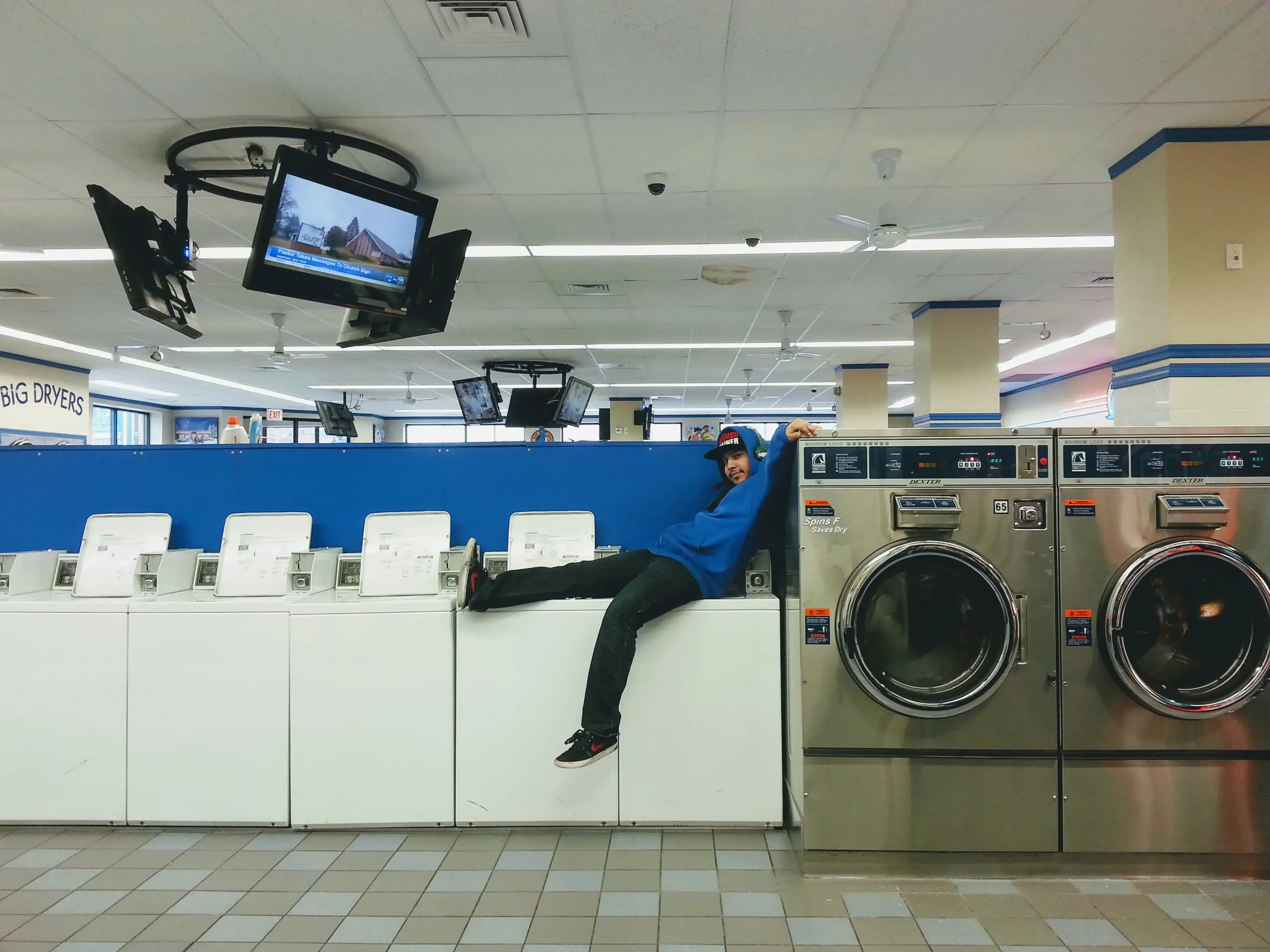 Blue Kangaroo thumbnail 20