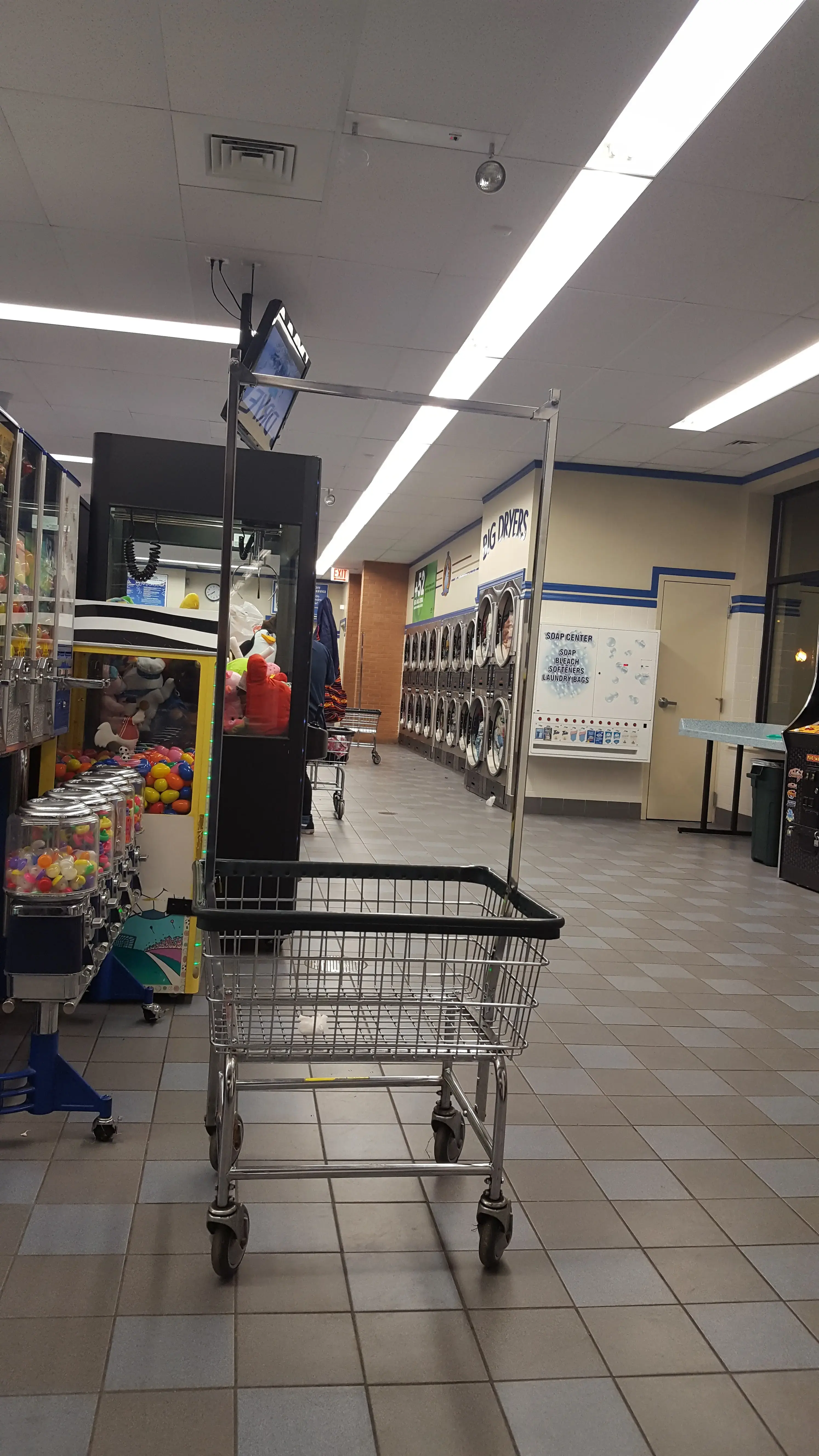 Blue Kangaroo thumbnail 3