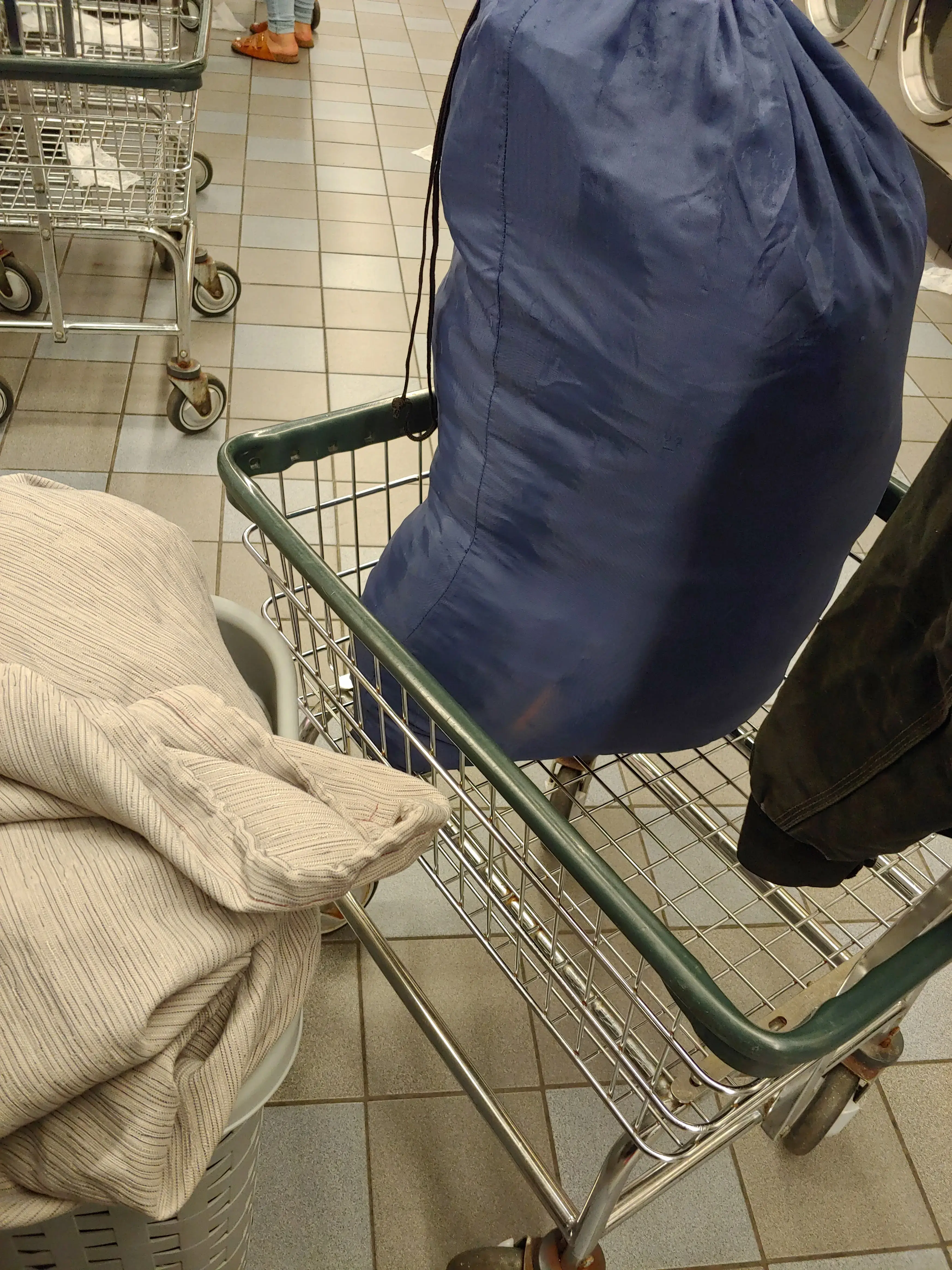 Blue Kangaroo thumbnail 13