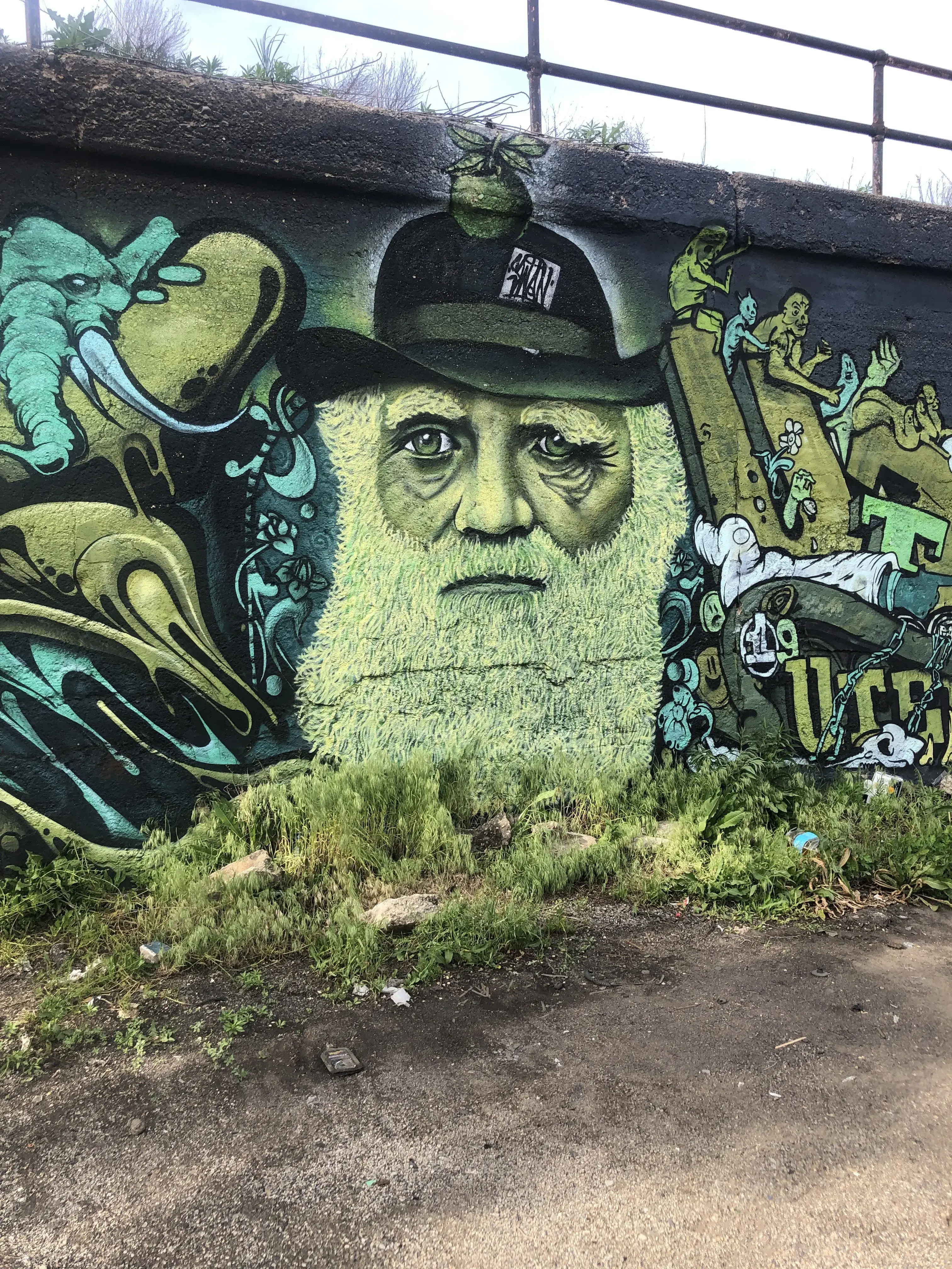 Blue Kangaroo Coin Laundry - Image 4