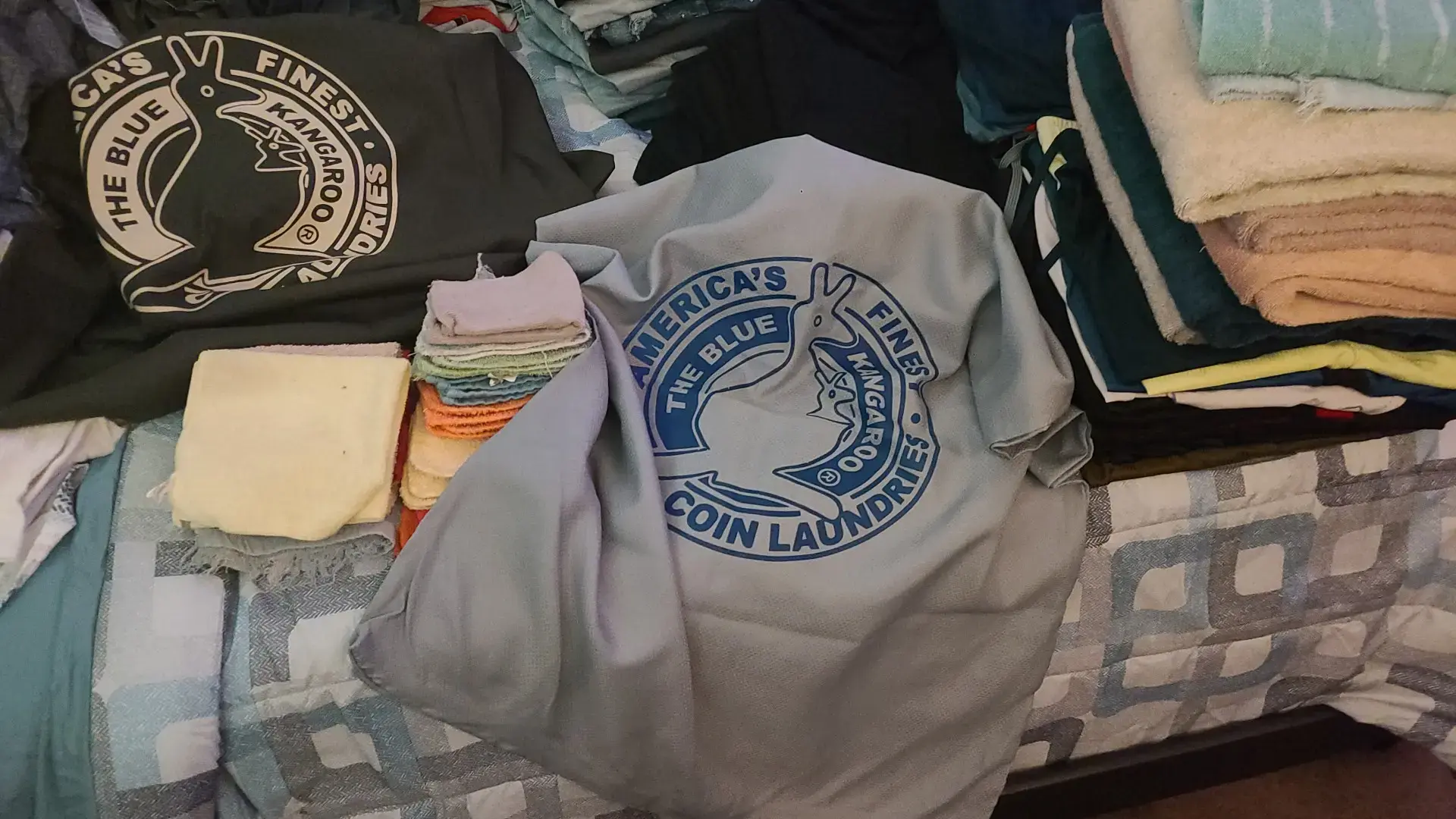 Blue Kangaroo Coin Laundry thumbnail 3