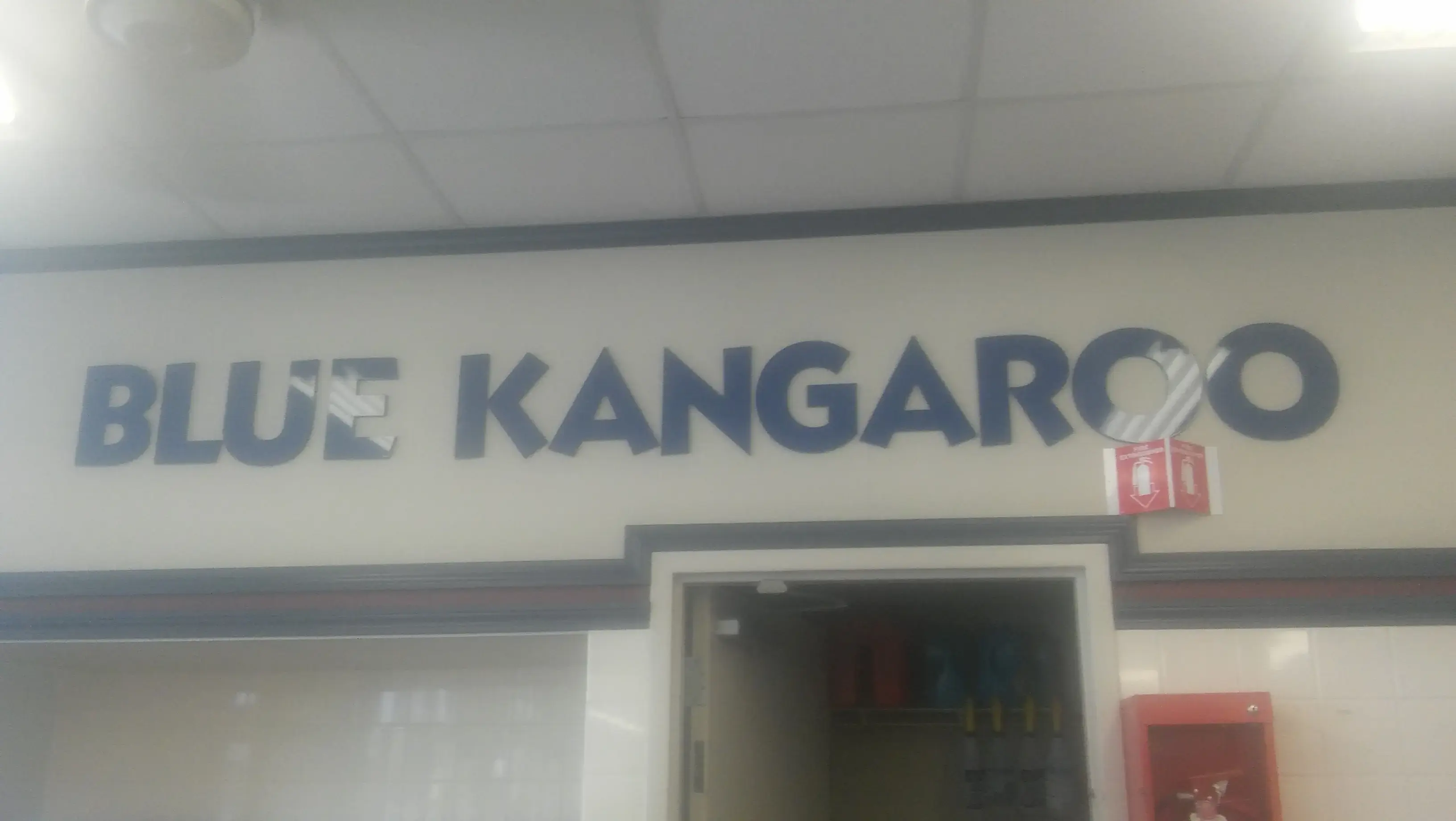 Blue Kangaroo Coin Laundry - Image 13