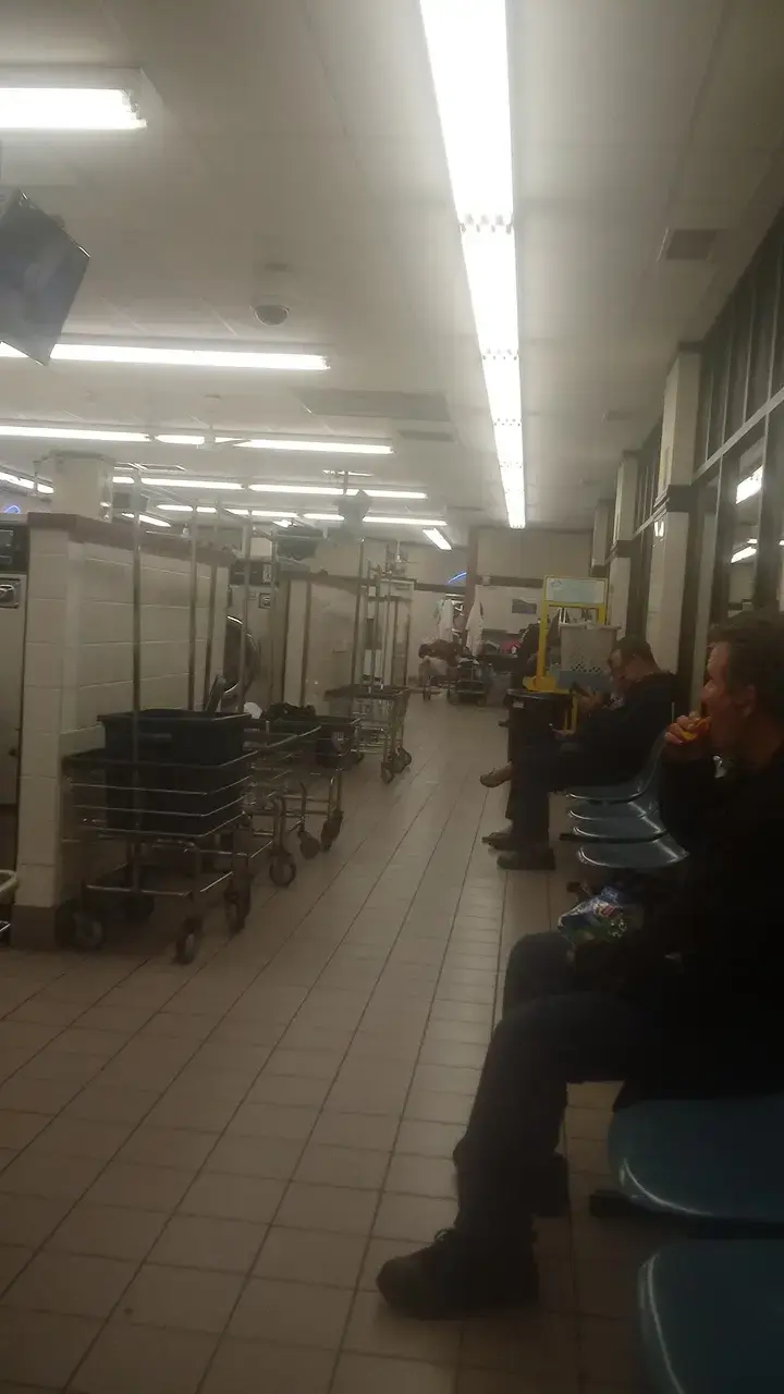 Blue Kangaroo Coin Laundry thumbnail 8