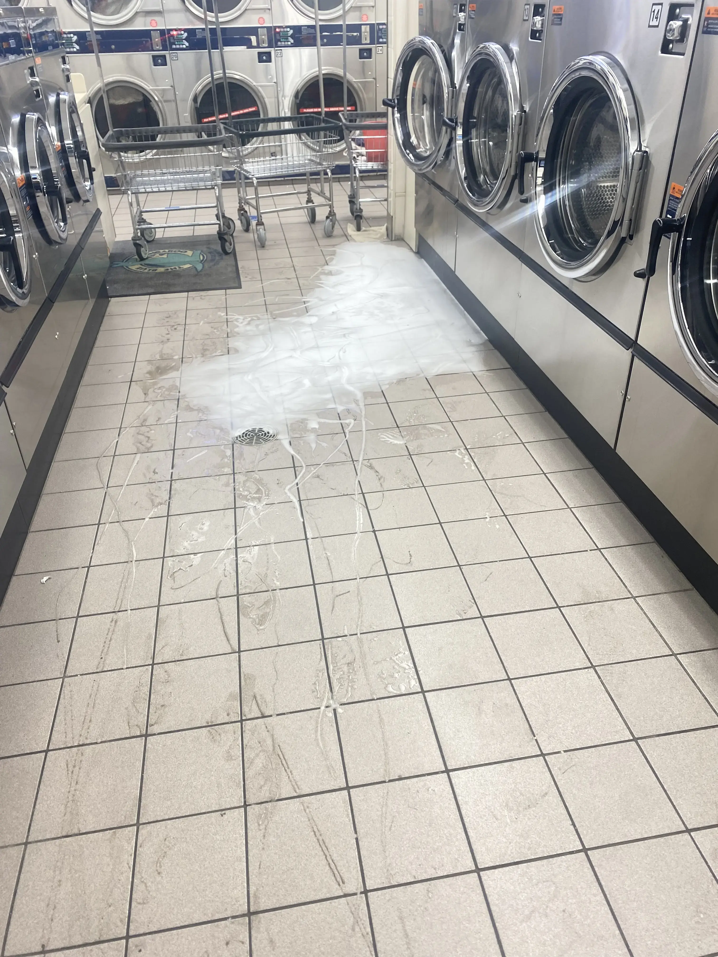 Blue Kangaroo Coin Laundry thumbnail 2