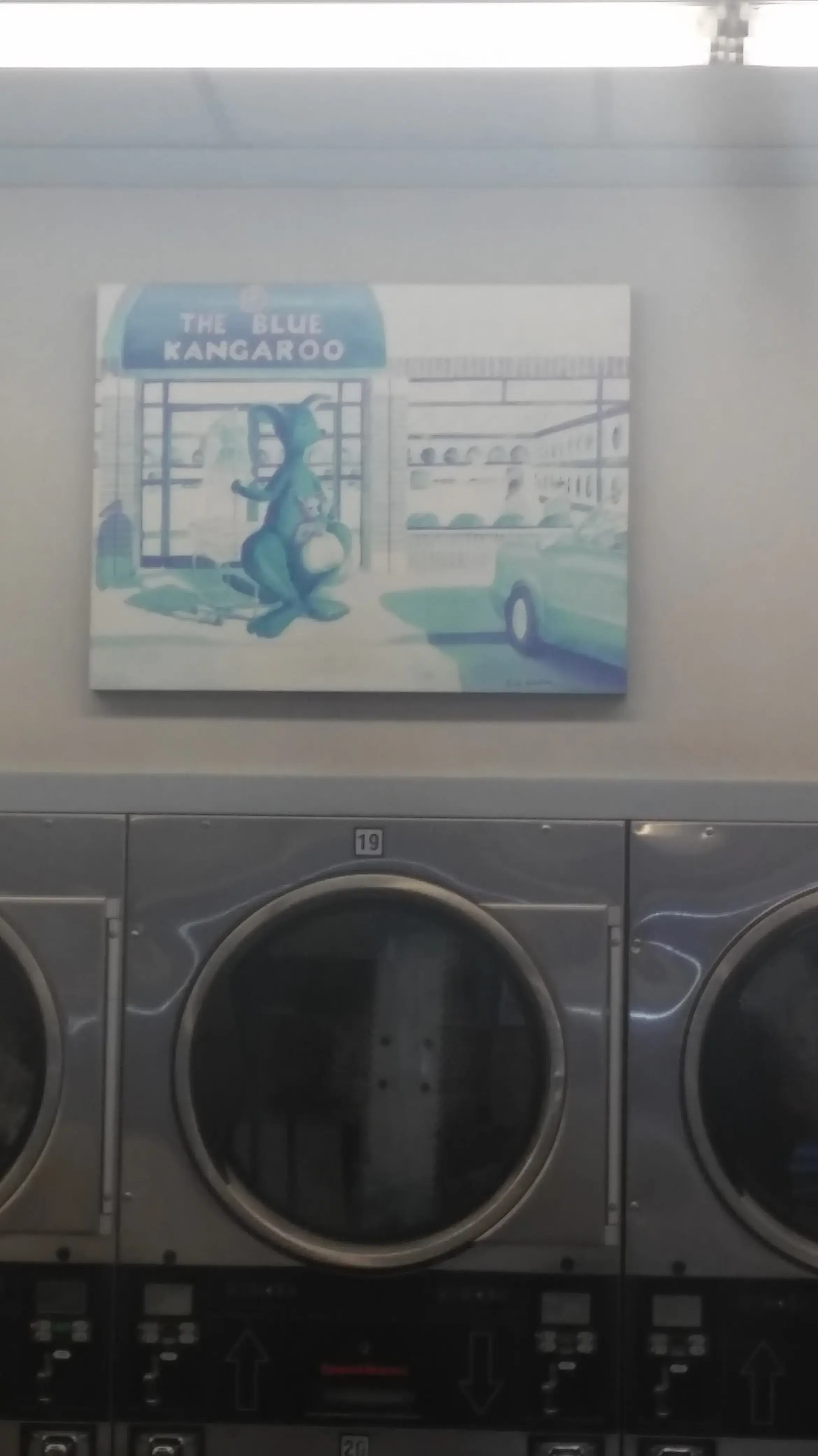 Blue Kangaroo Coin Laundry - Image 18