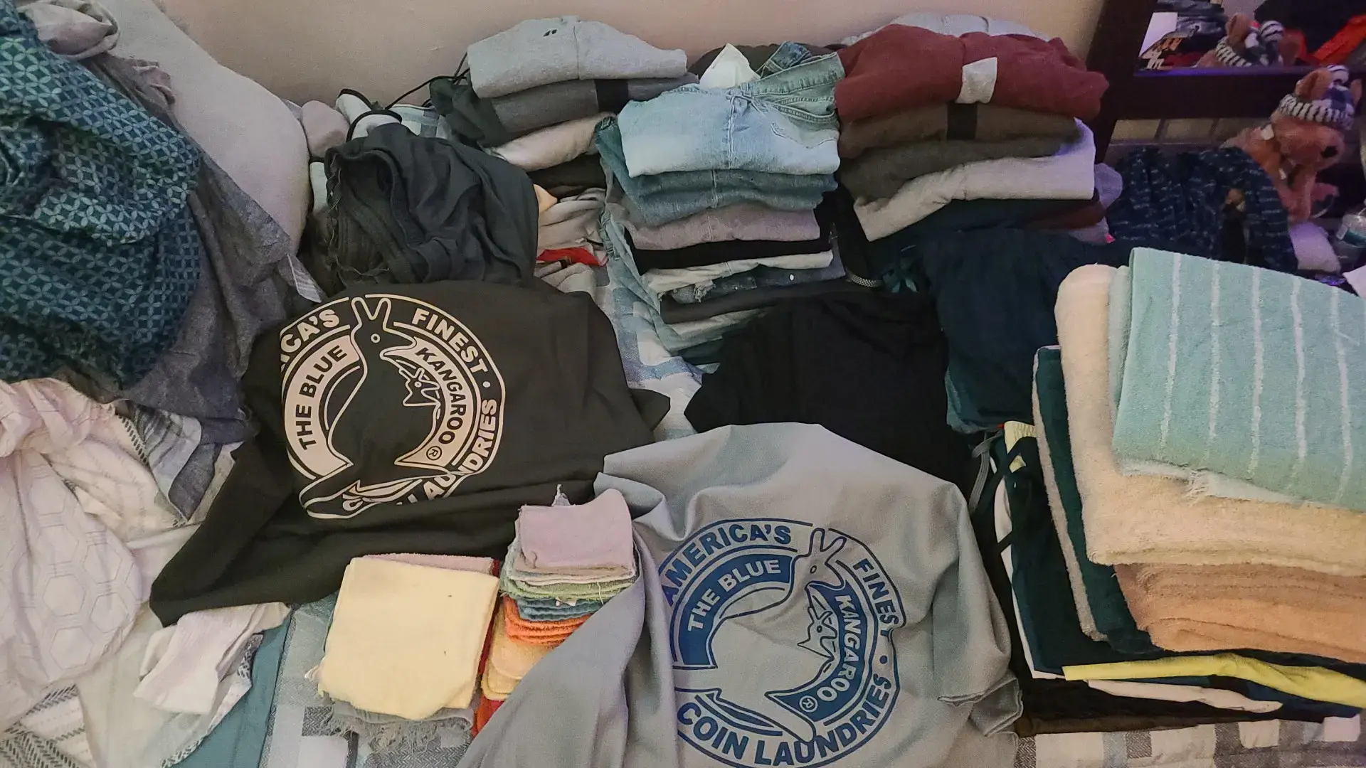 Blue Kangaroo Coin Laundry thumbnail 12