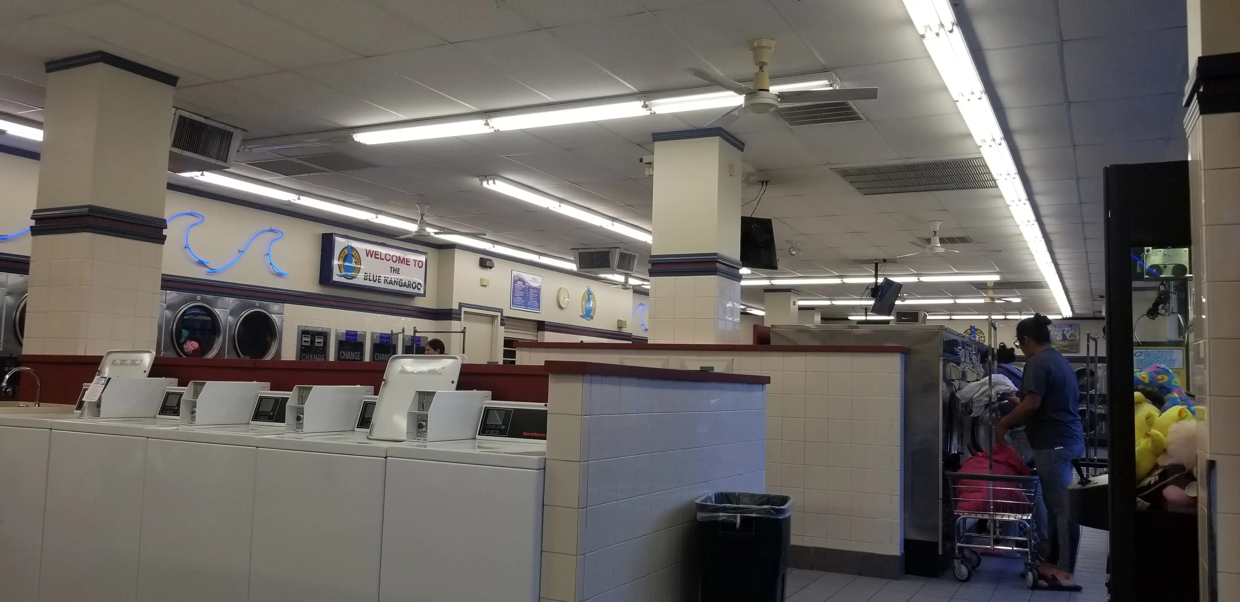 Blue Kangaroo Coin Laundry thumbnail 4