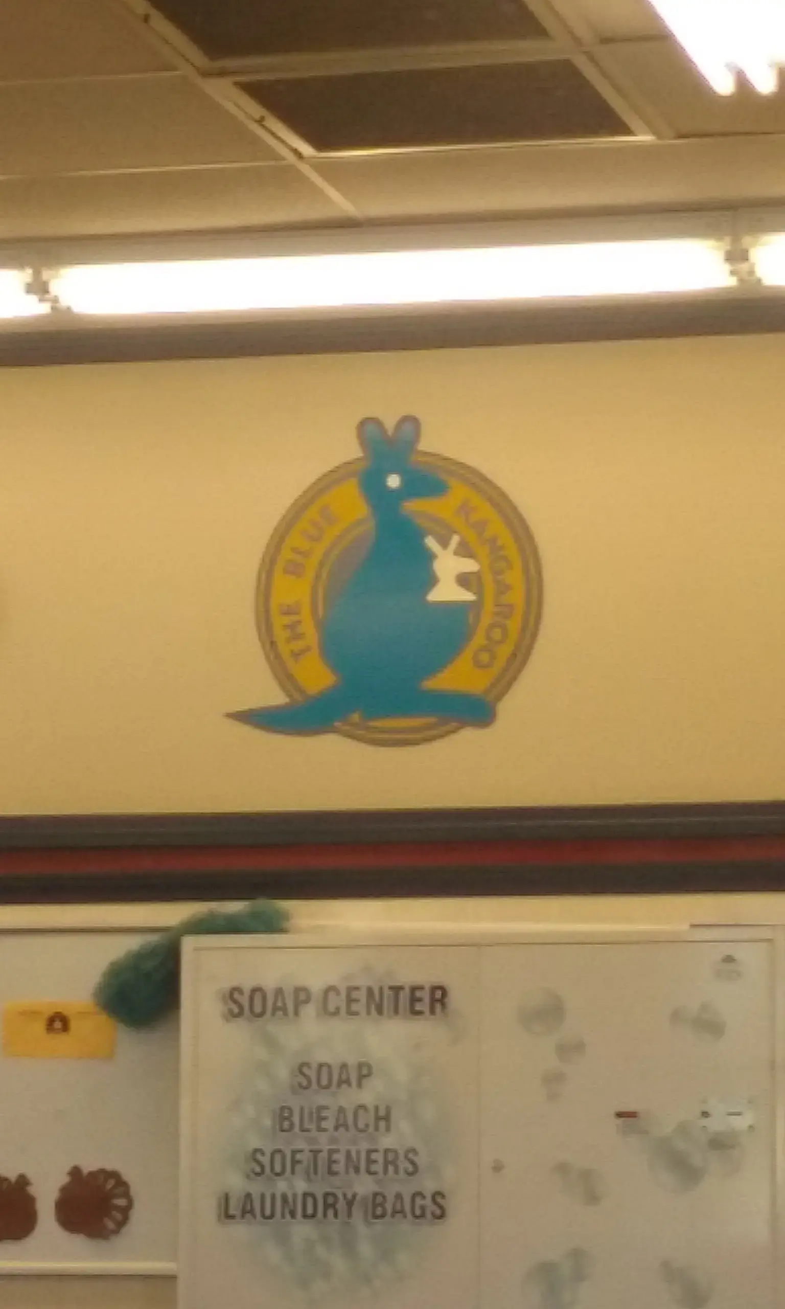 Blue Kangaroo Coin Laundry thumbnail 19