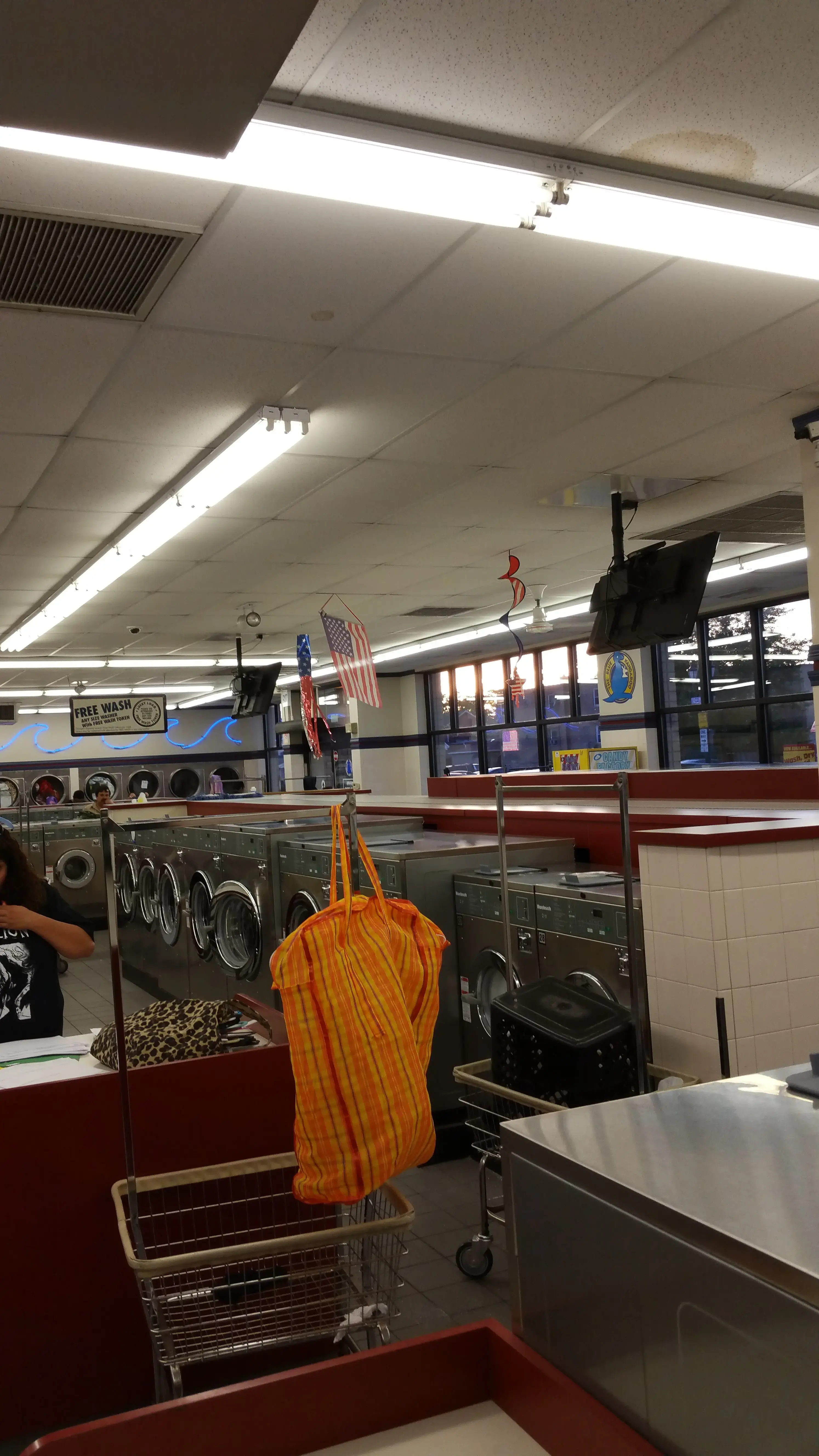 Blue Kangaroo Coin Laundry thumbnail 7