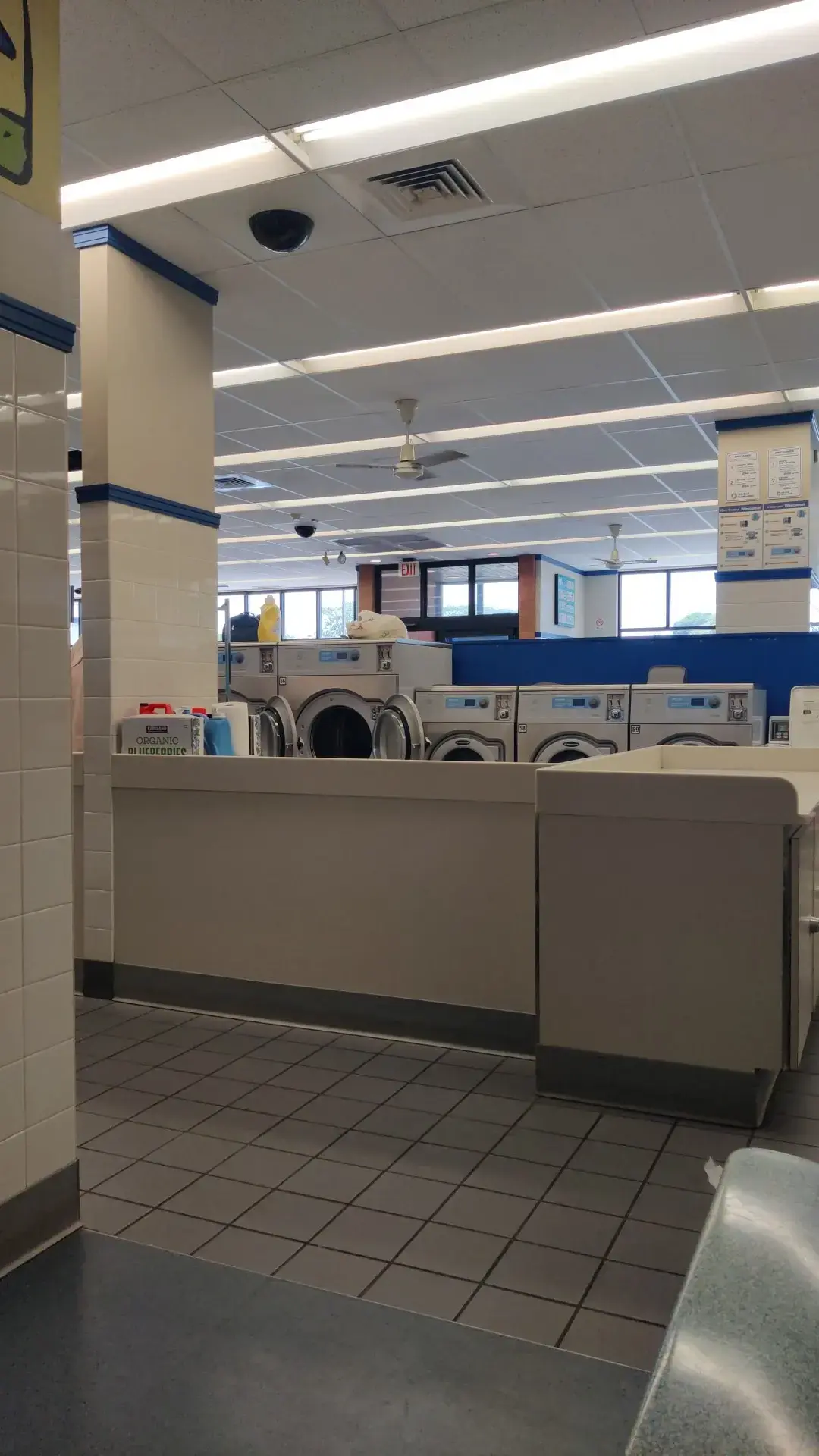 Blue Kangaroo Coin Laundry thumbnail 5