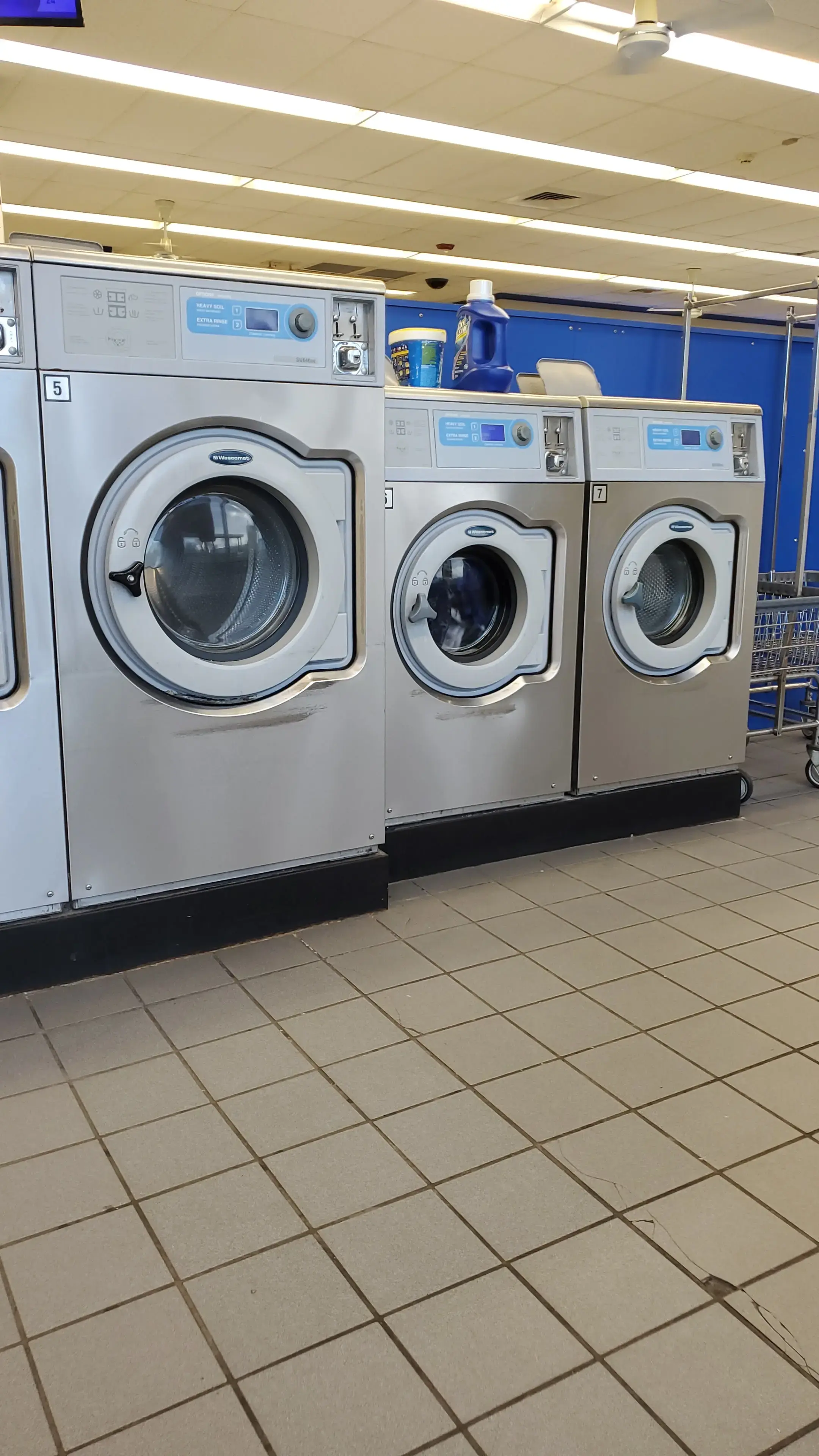 Blue Kangaroo Coin Laundry thumbnail 16