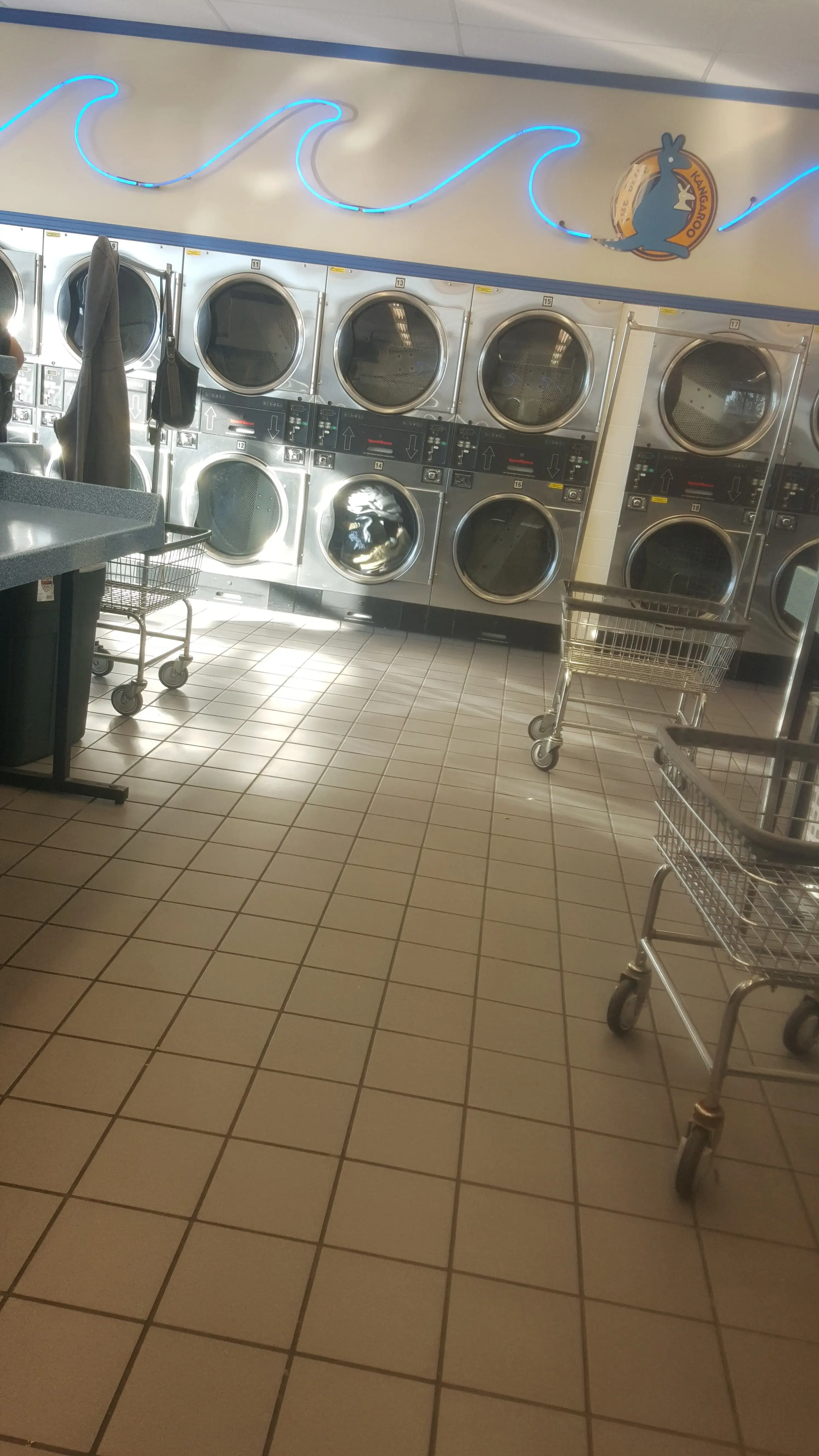 Blue Kangaroo Coin Laundry - Image 11