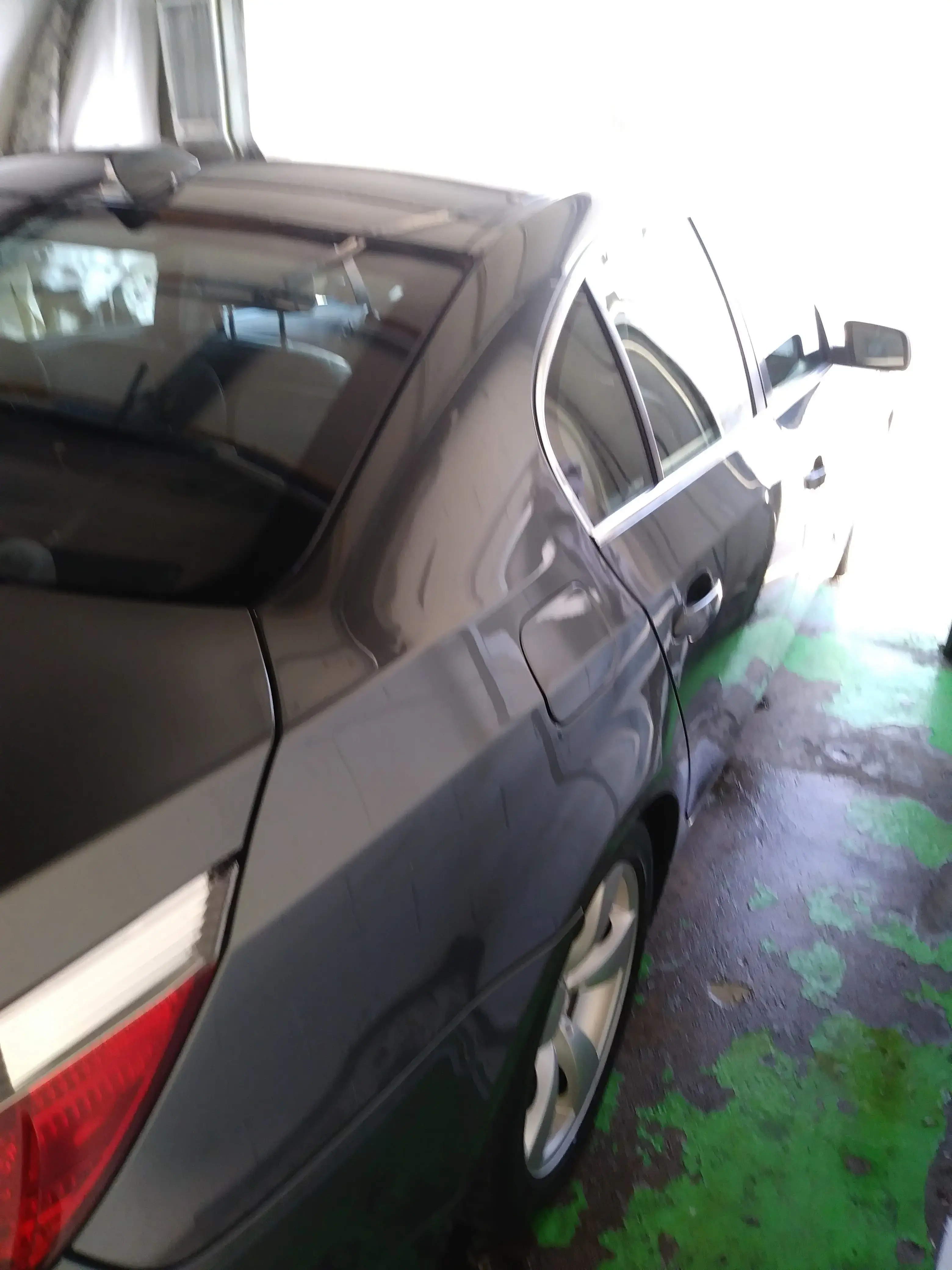 Blue Kangaroo Coin Laundry - Image 3