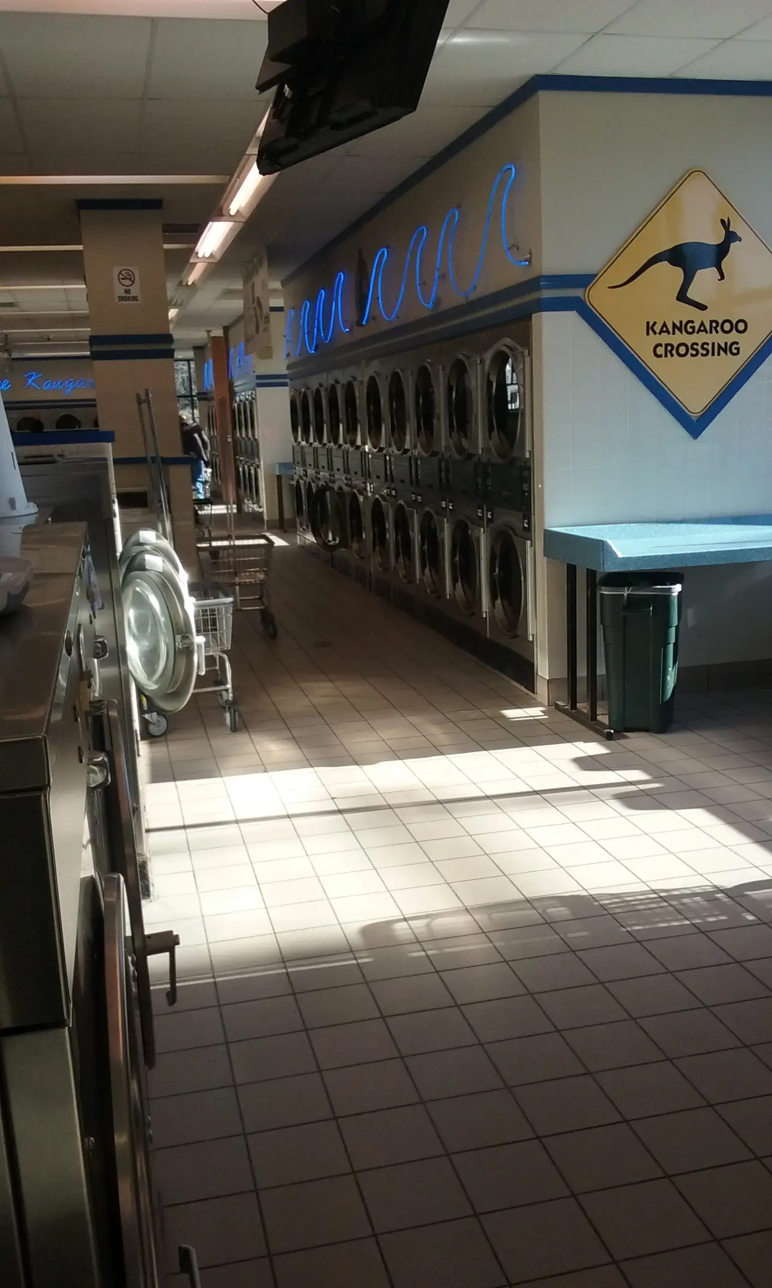 Blue Kangaroo Coin Laundry - Image 13