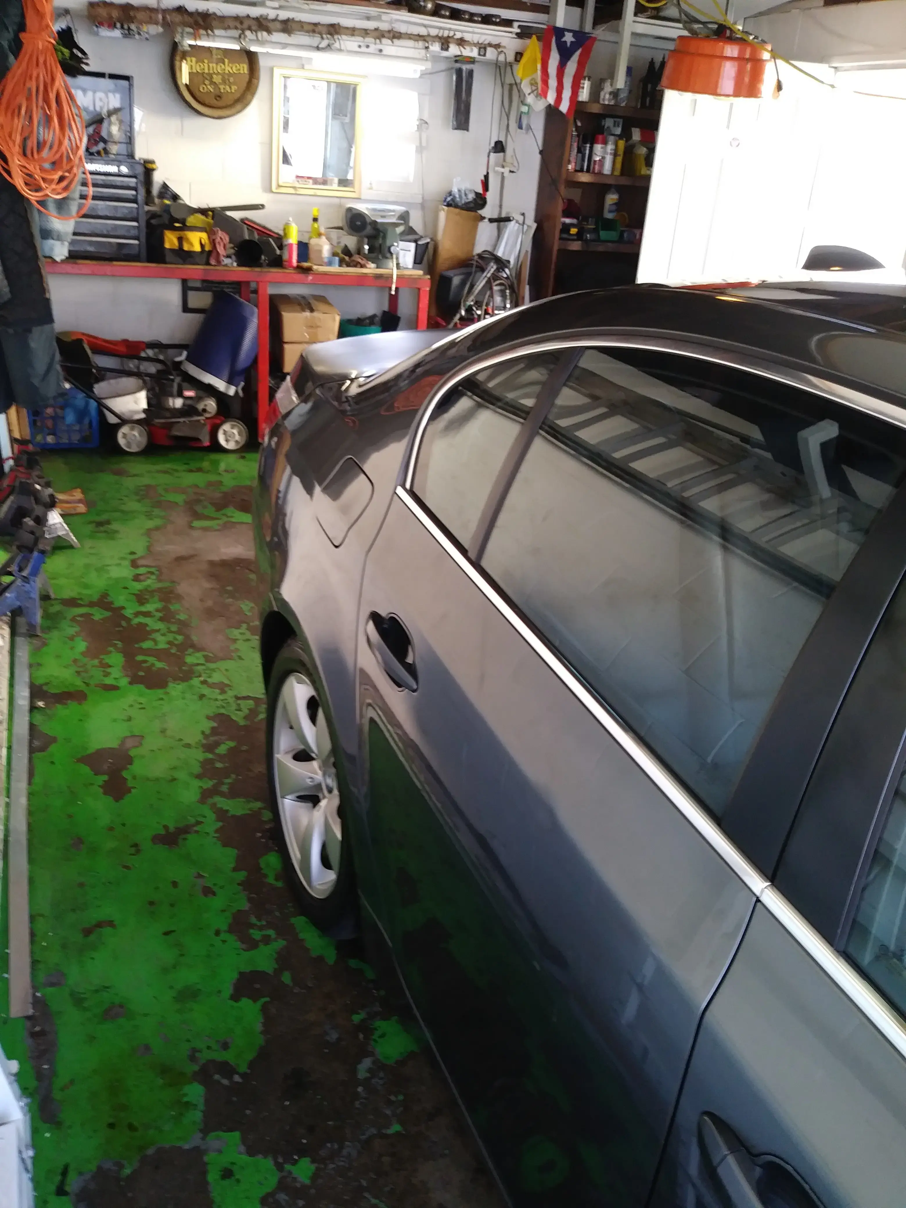 Blue Kangaroo Coin Laundry - Image 6