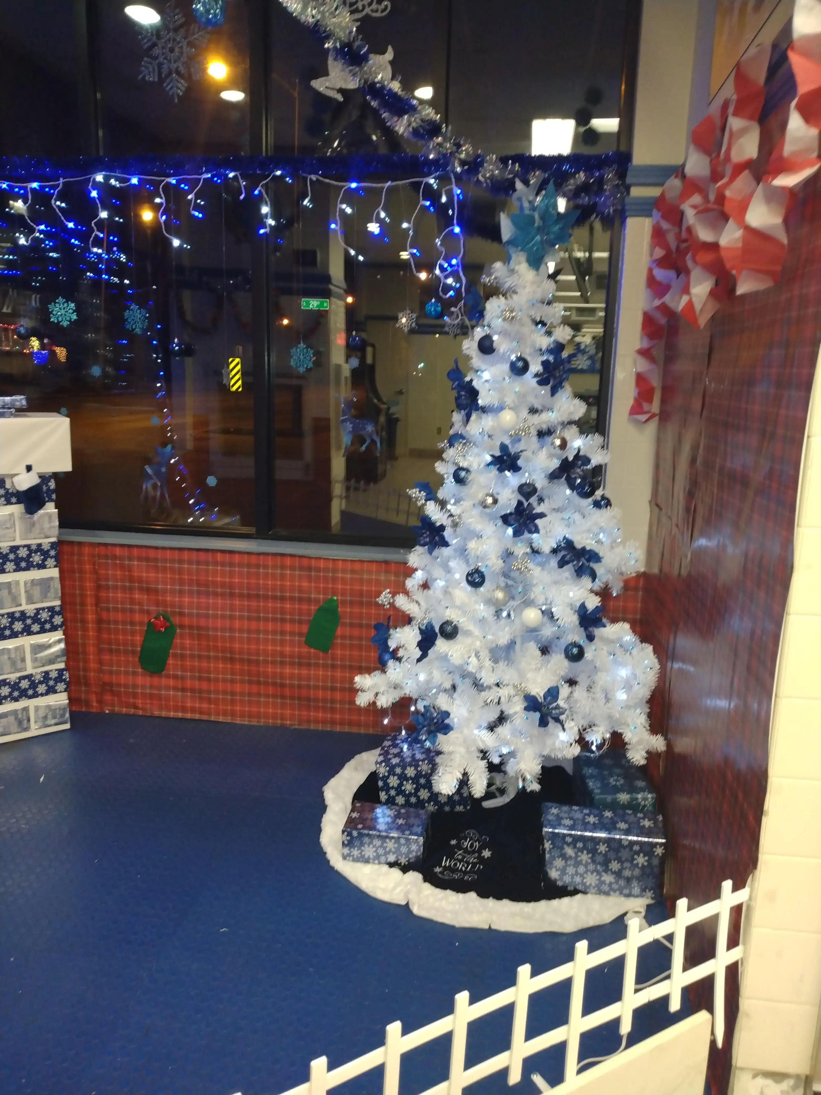 Blue Kangaroo Coin Laundry - Image 7