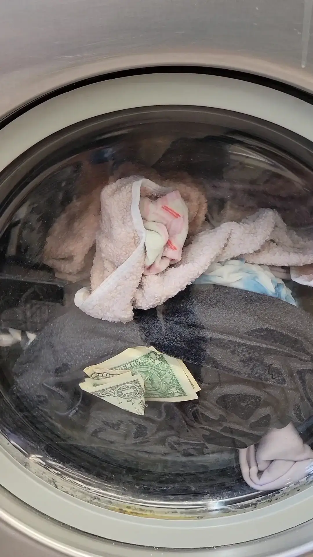 Blue Kangaroo Coin Laundry - Image 17