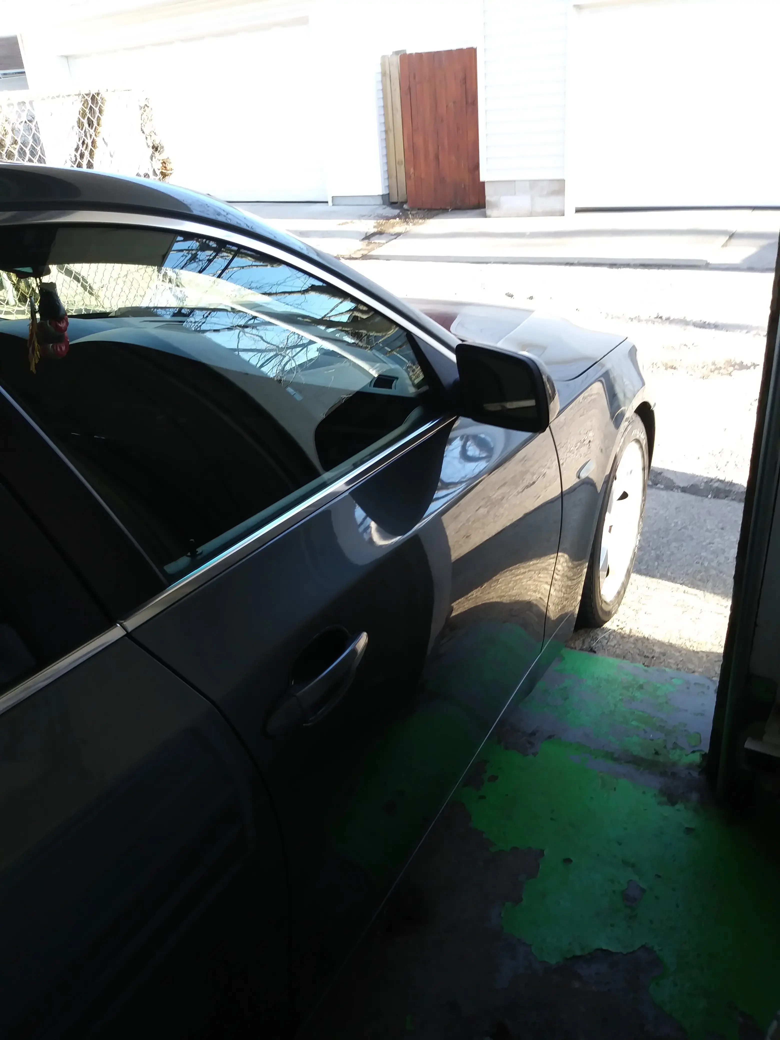 Blue Kangaroo Coin Laundry thumbnail 4