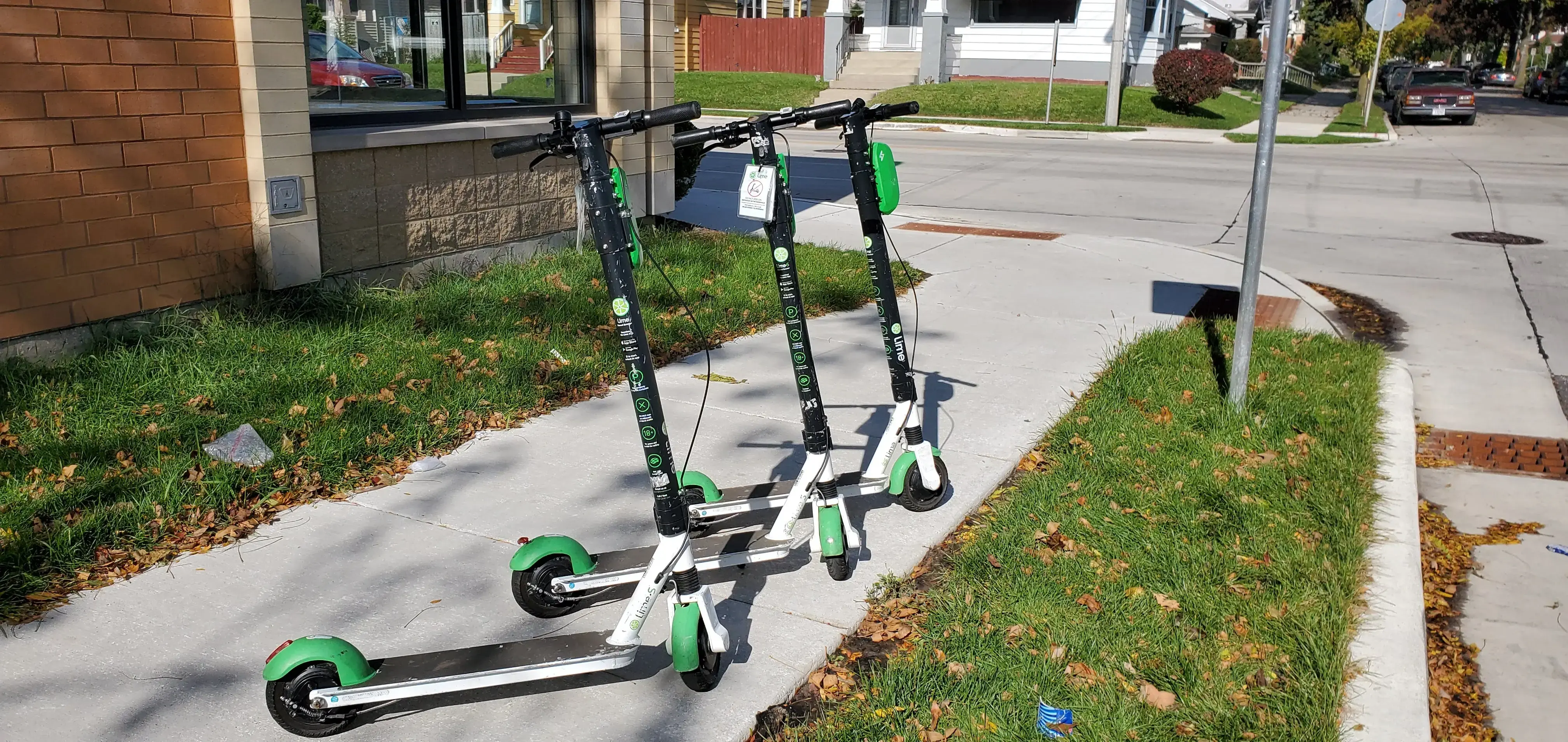 Blue Kangaroo Coin Laundry thumbnail 5