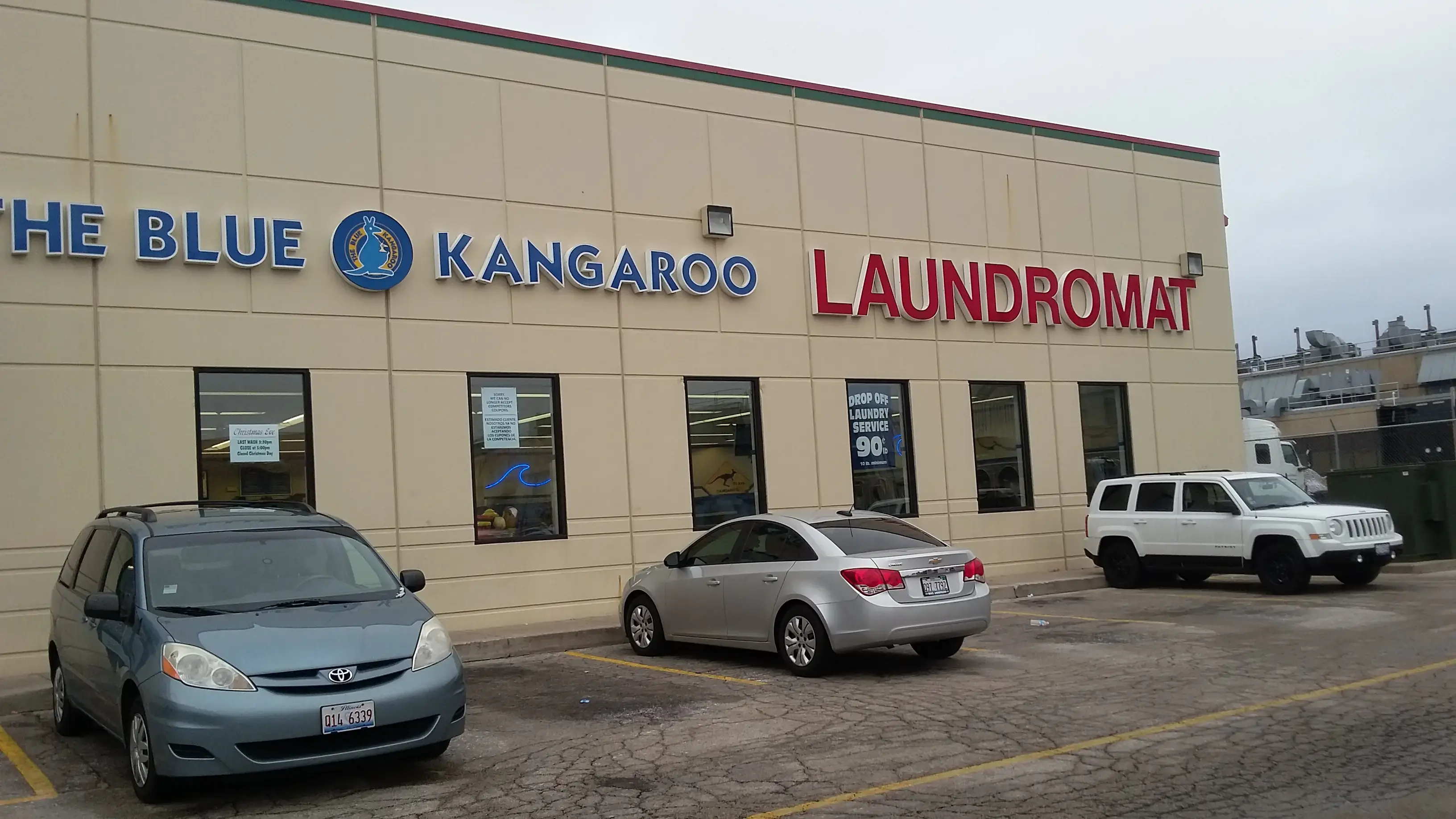 Blue Kangaroo thumbnail 8