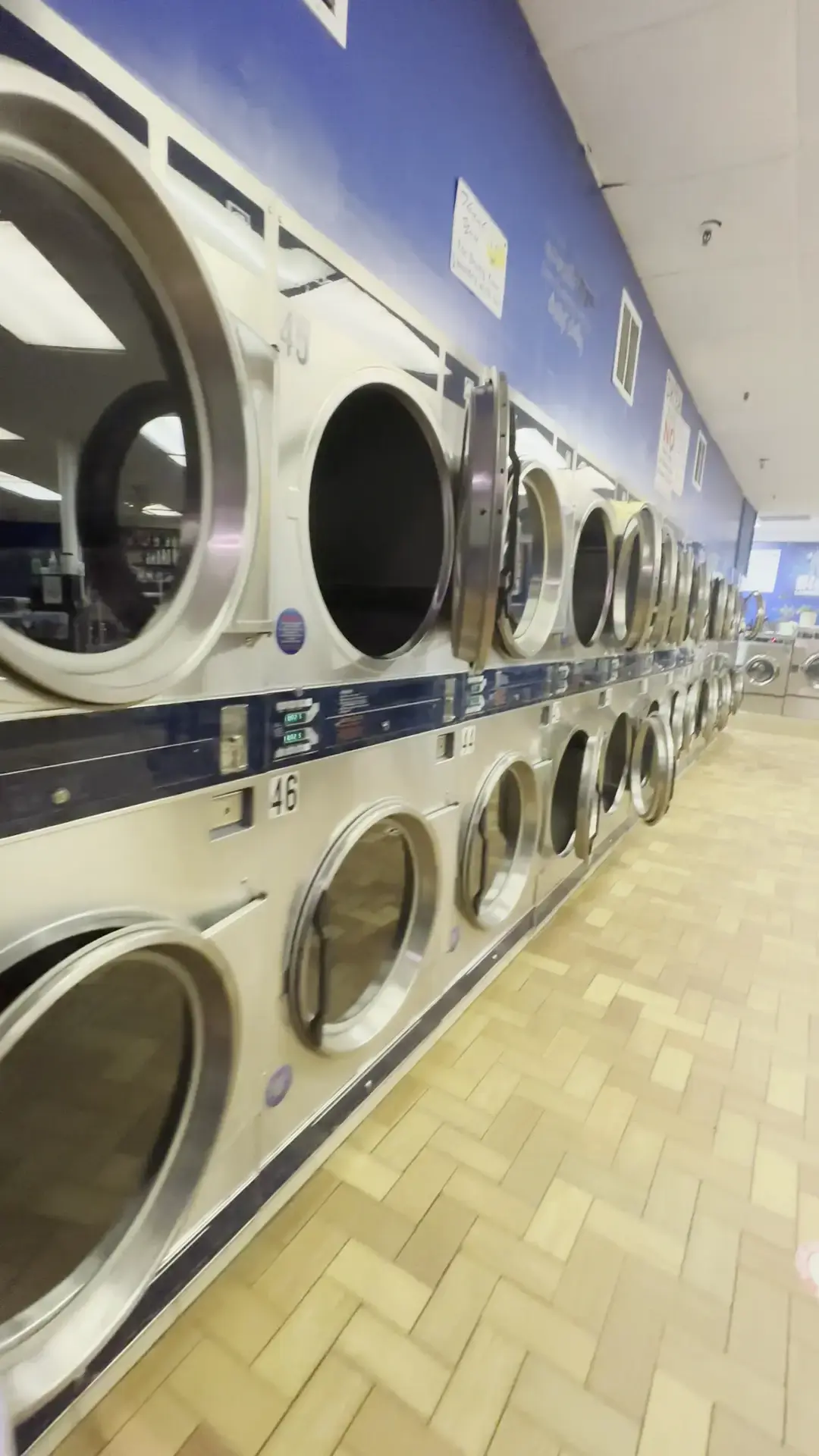Blue Laundromat thumbnail 6