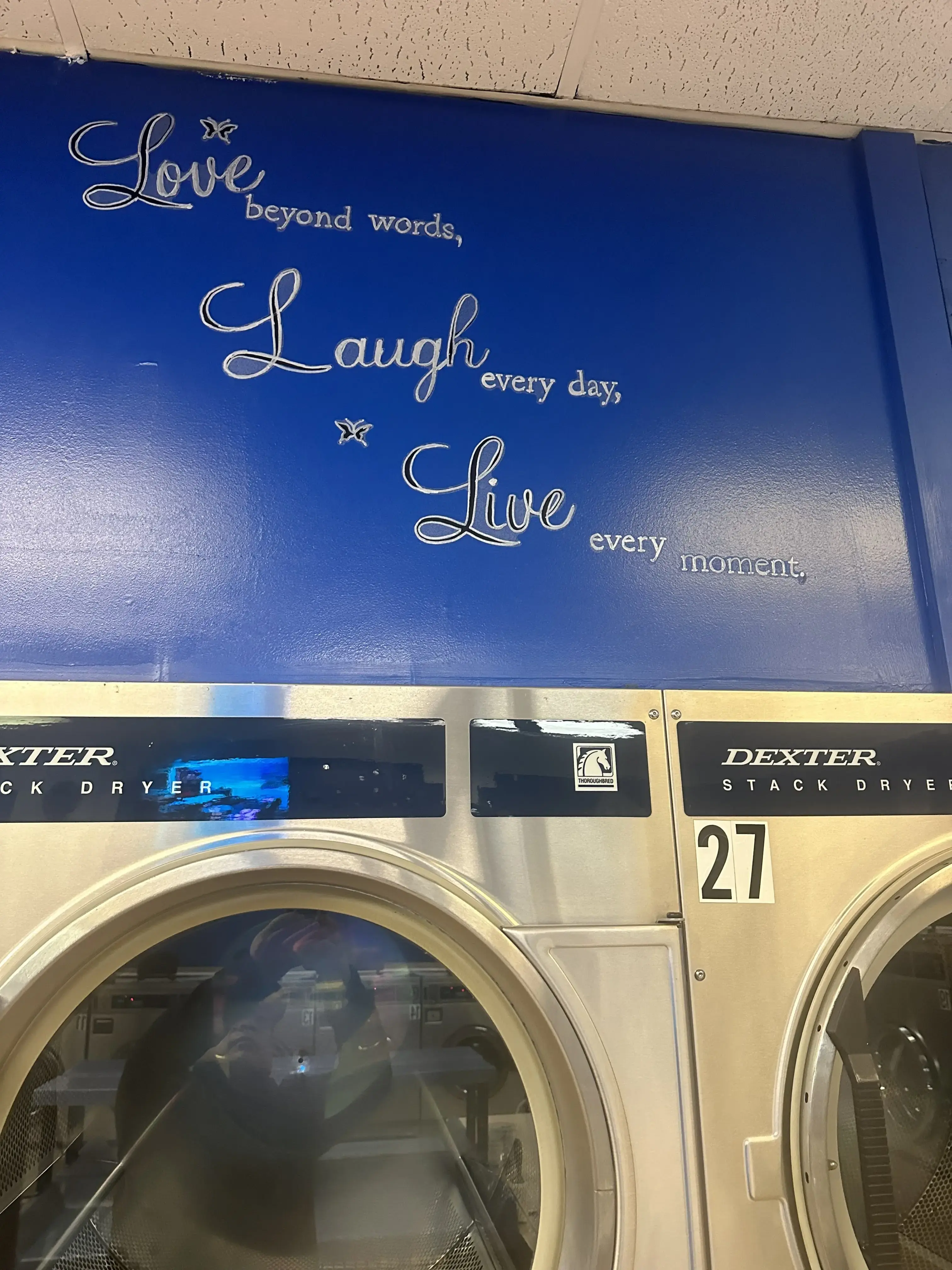Blue Laundromat thumbnail 4