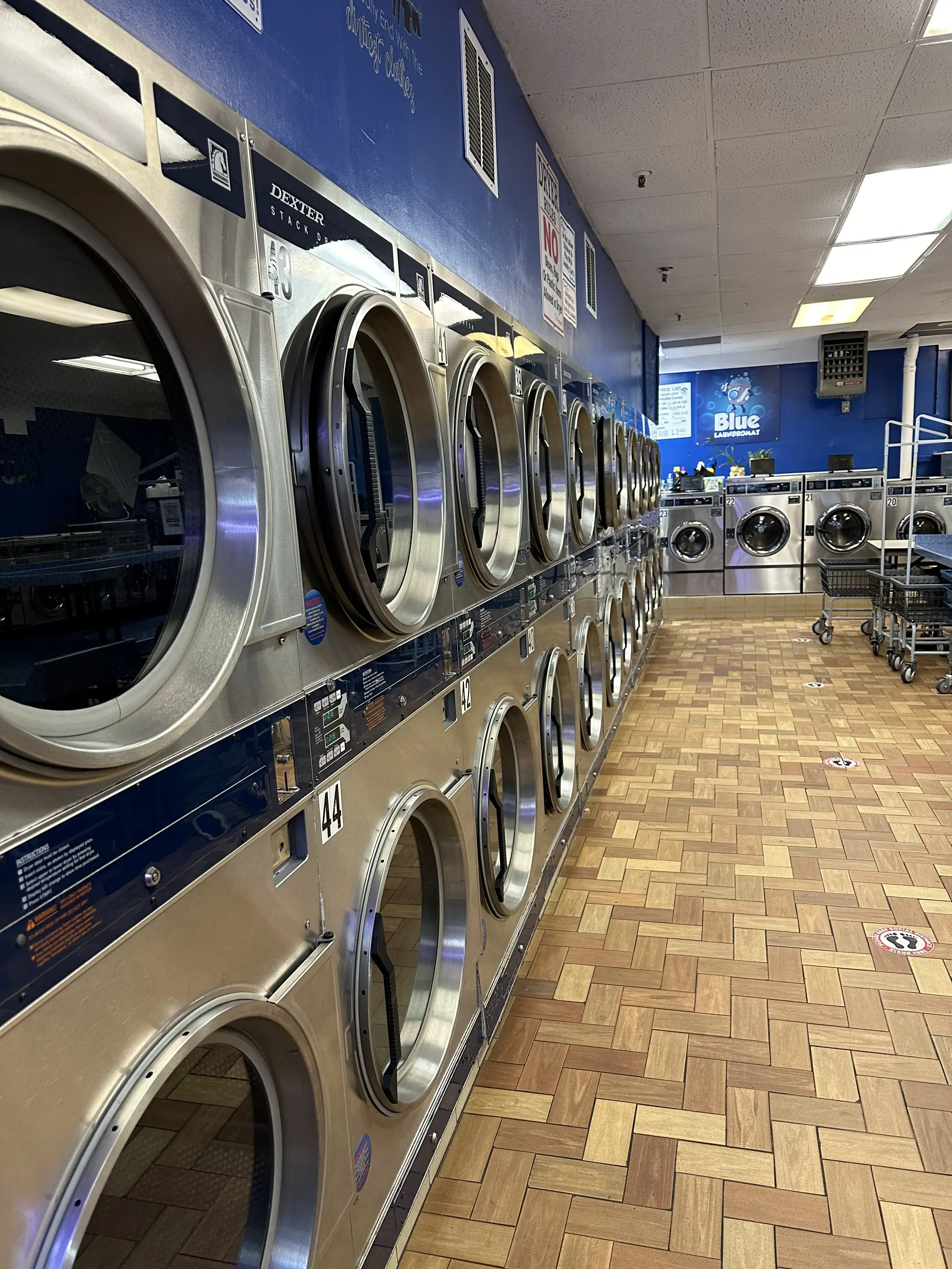 Blue Laundromat thumbnail 13