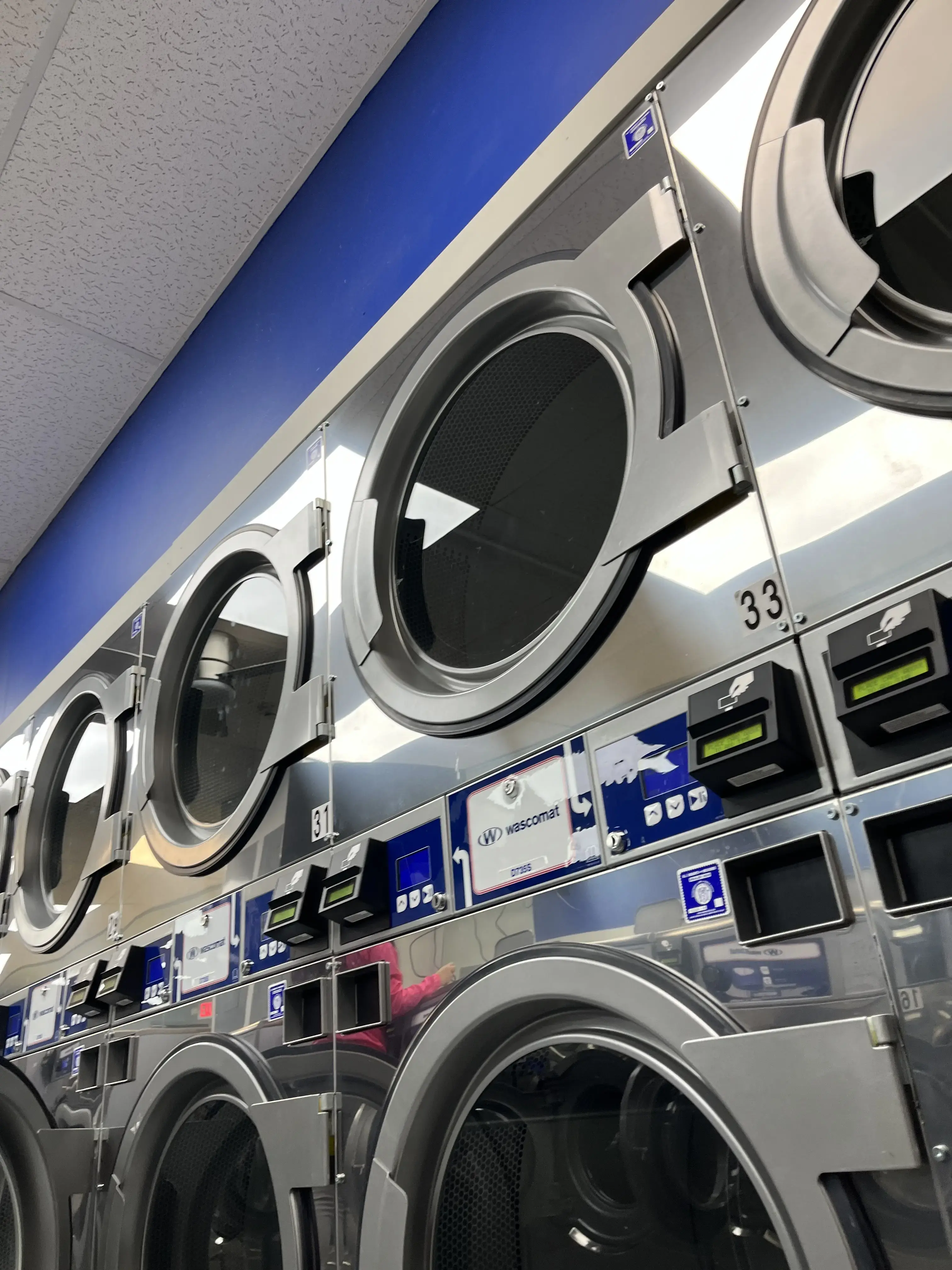 Blue Leaf Laundry thumbnail 13