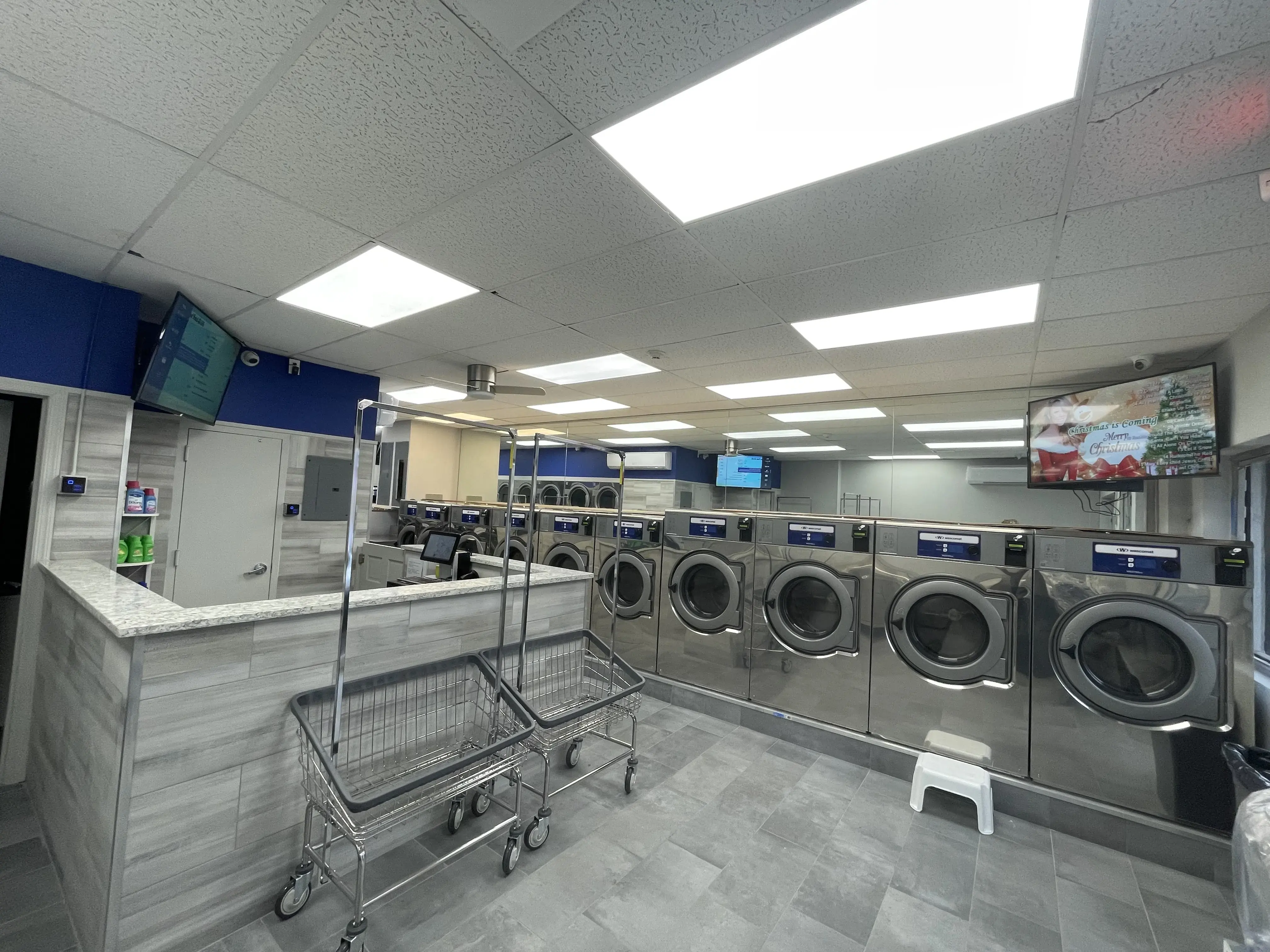 Blue Leaf Laundry - Image 1