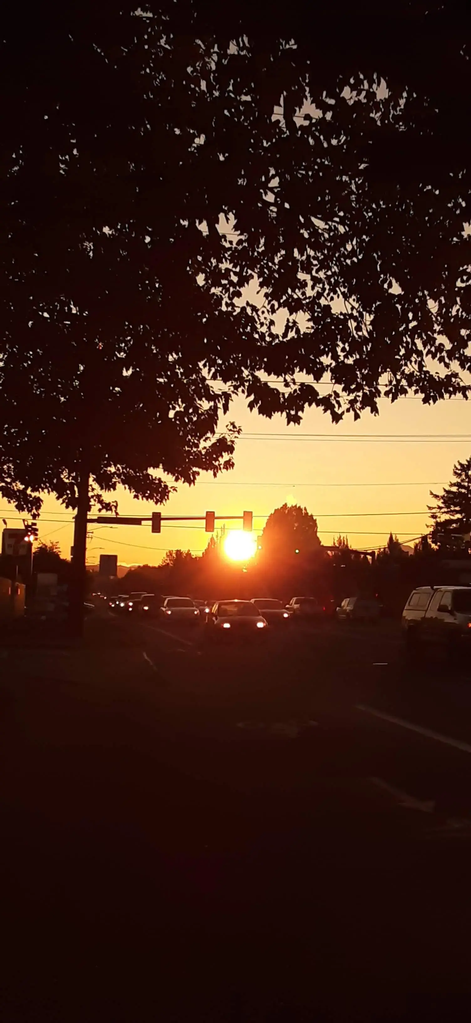 Blue Sky Eco Laundry of Gresham - Image 20