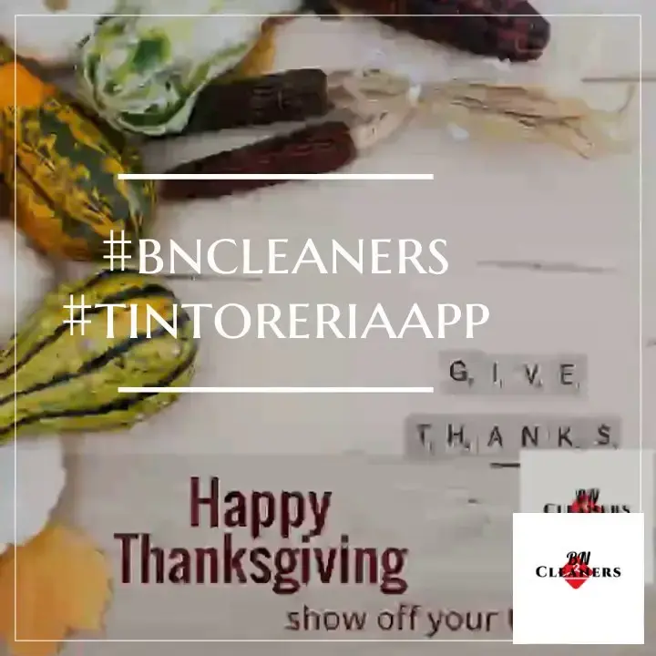 BN CLEANERS thumbnail 8
