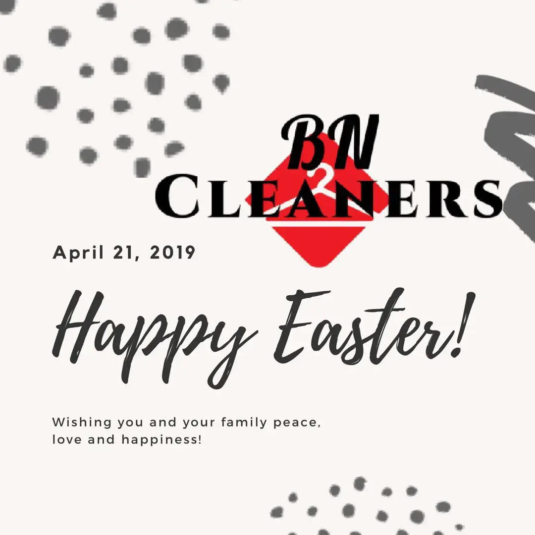 BN CLEANERS thumbnail 20