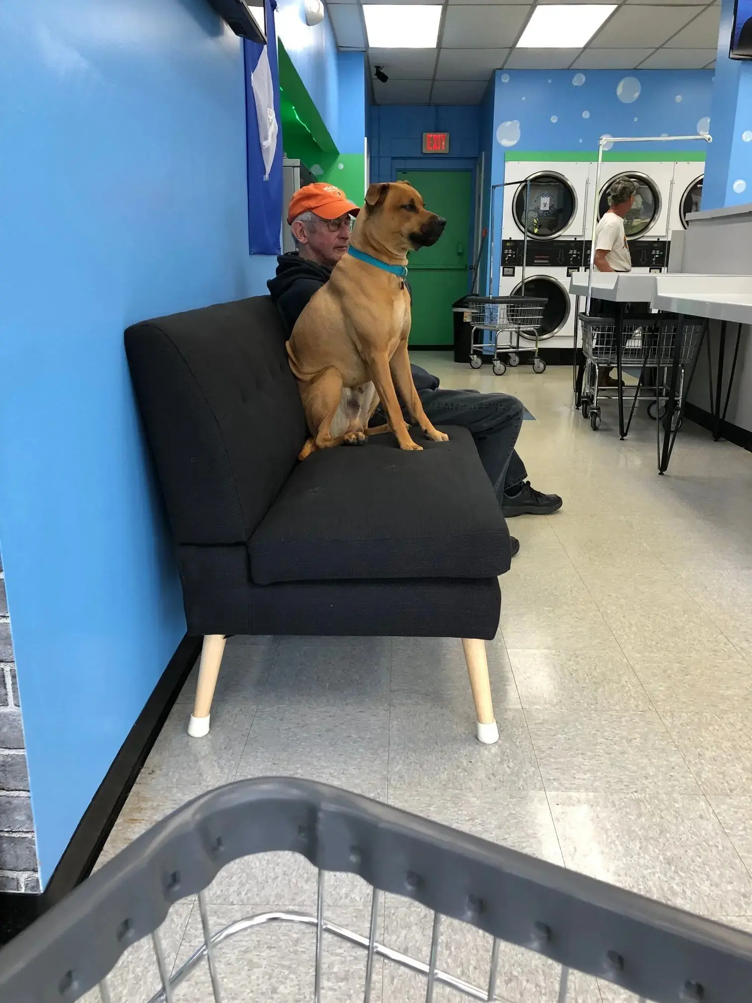 Bowser's Bubbles Laundromat - Image 2