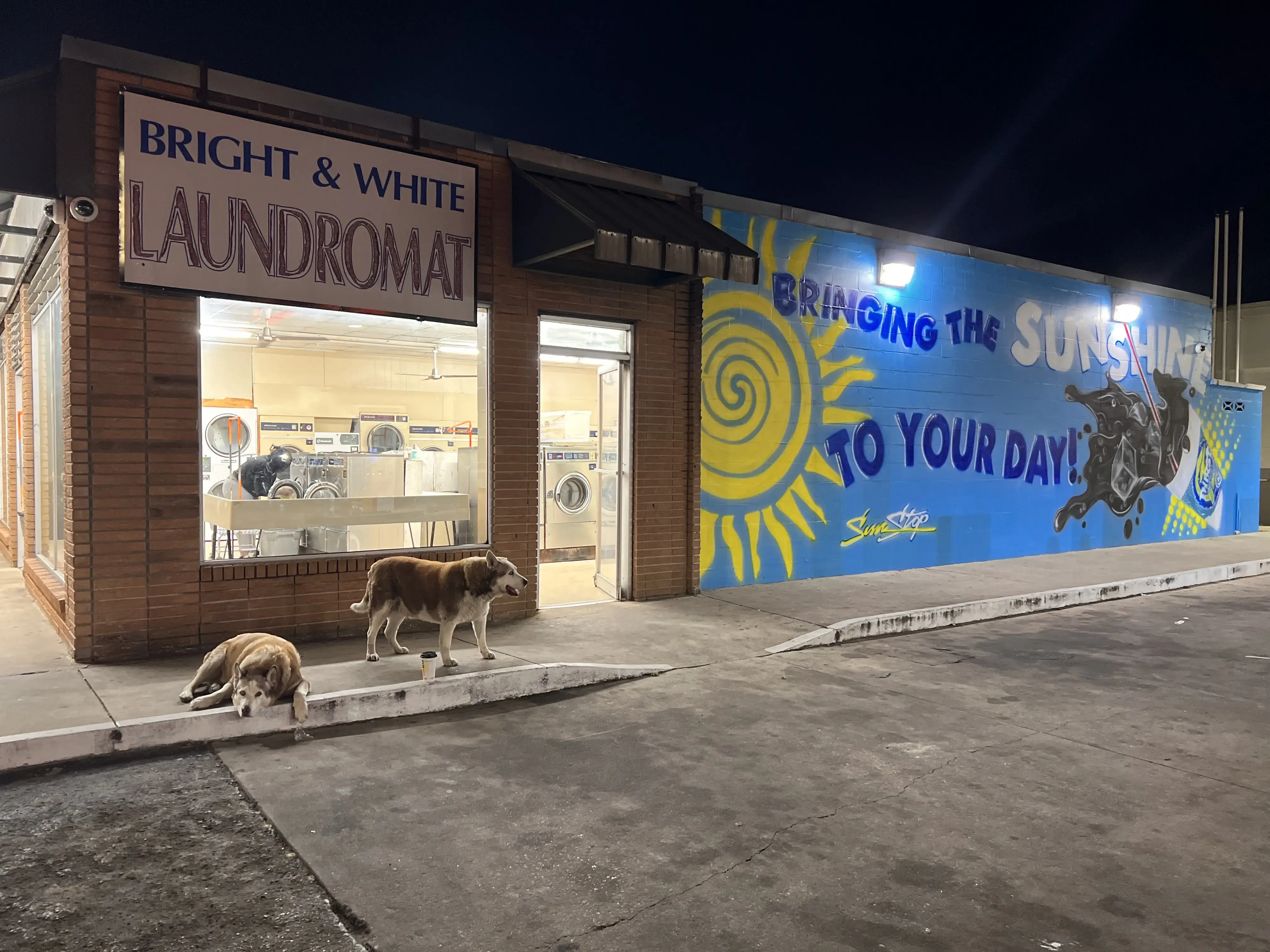 Bright & White LAUNDROMAT thumbnail 8