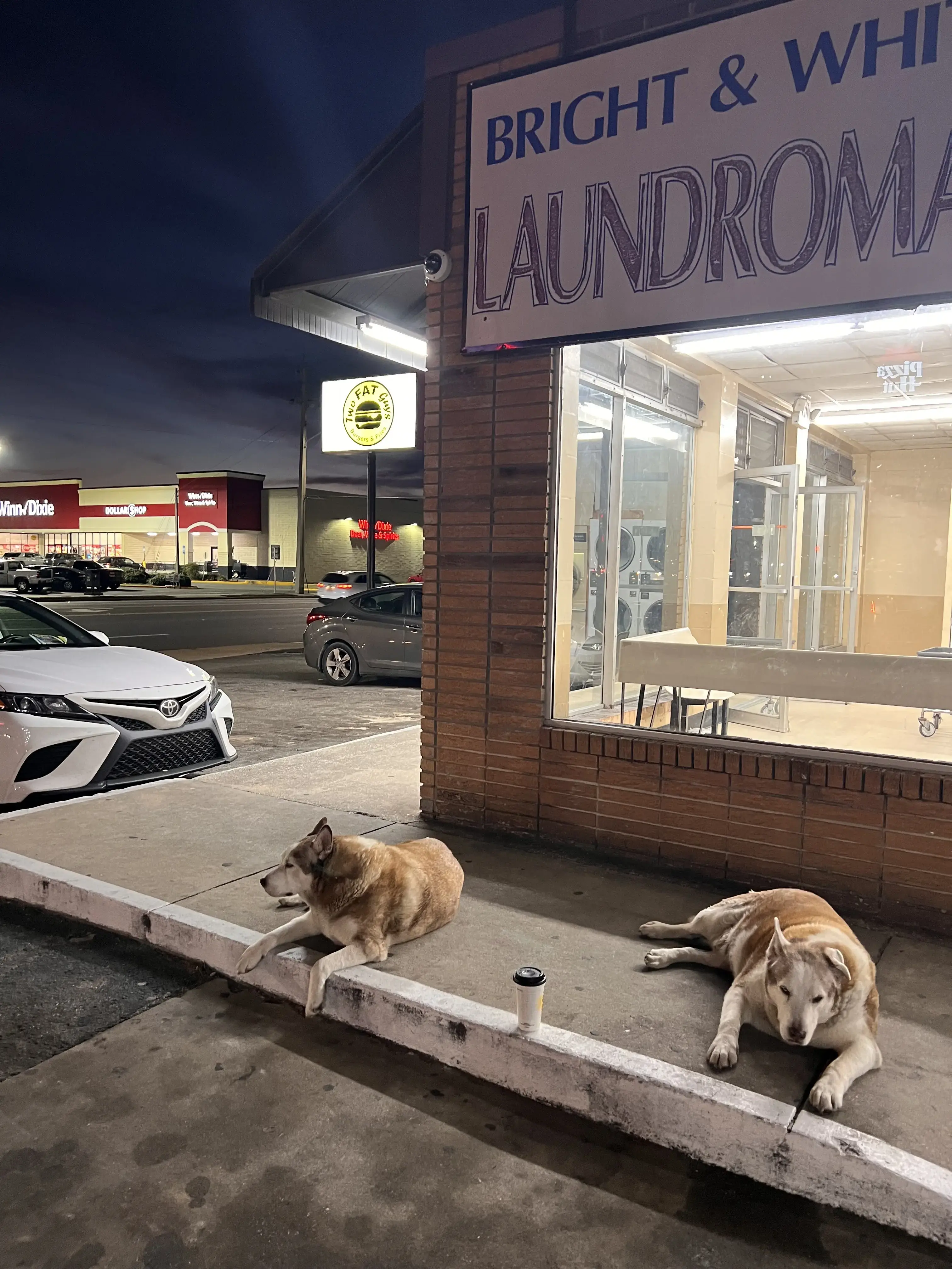 Bright & White LAUNDROMAT thumbnail 1