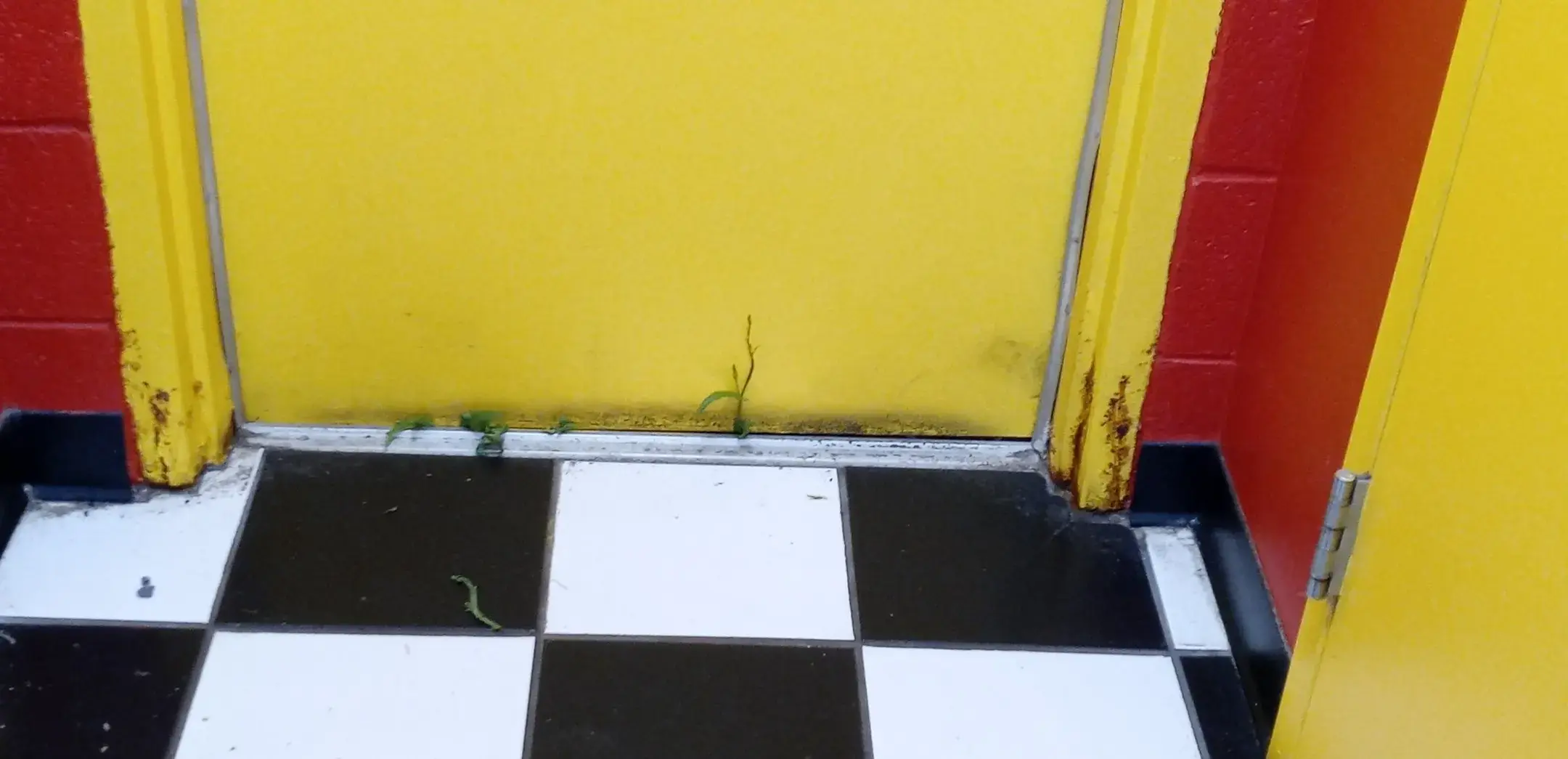 Bristol Lost Sock - Image 20