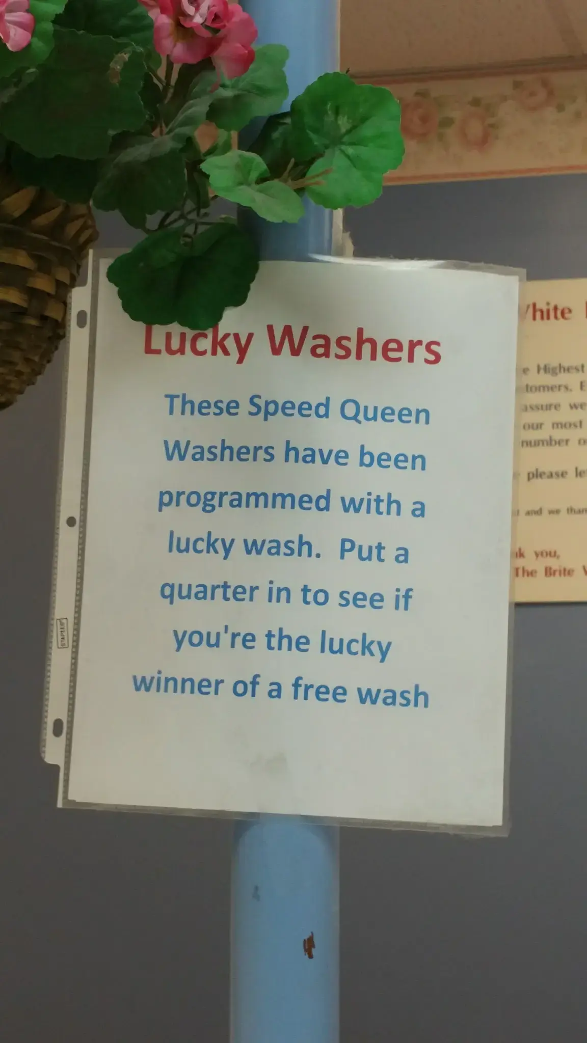 Brite White Laundromat - Image 7