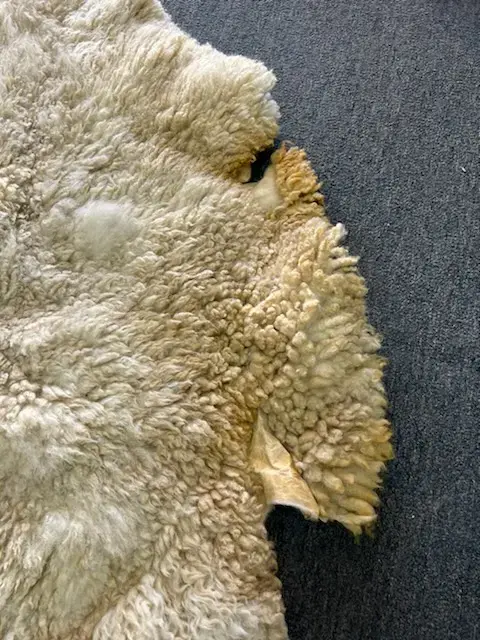 Brooke Cleaners - Image 3