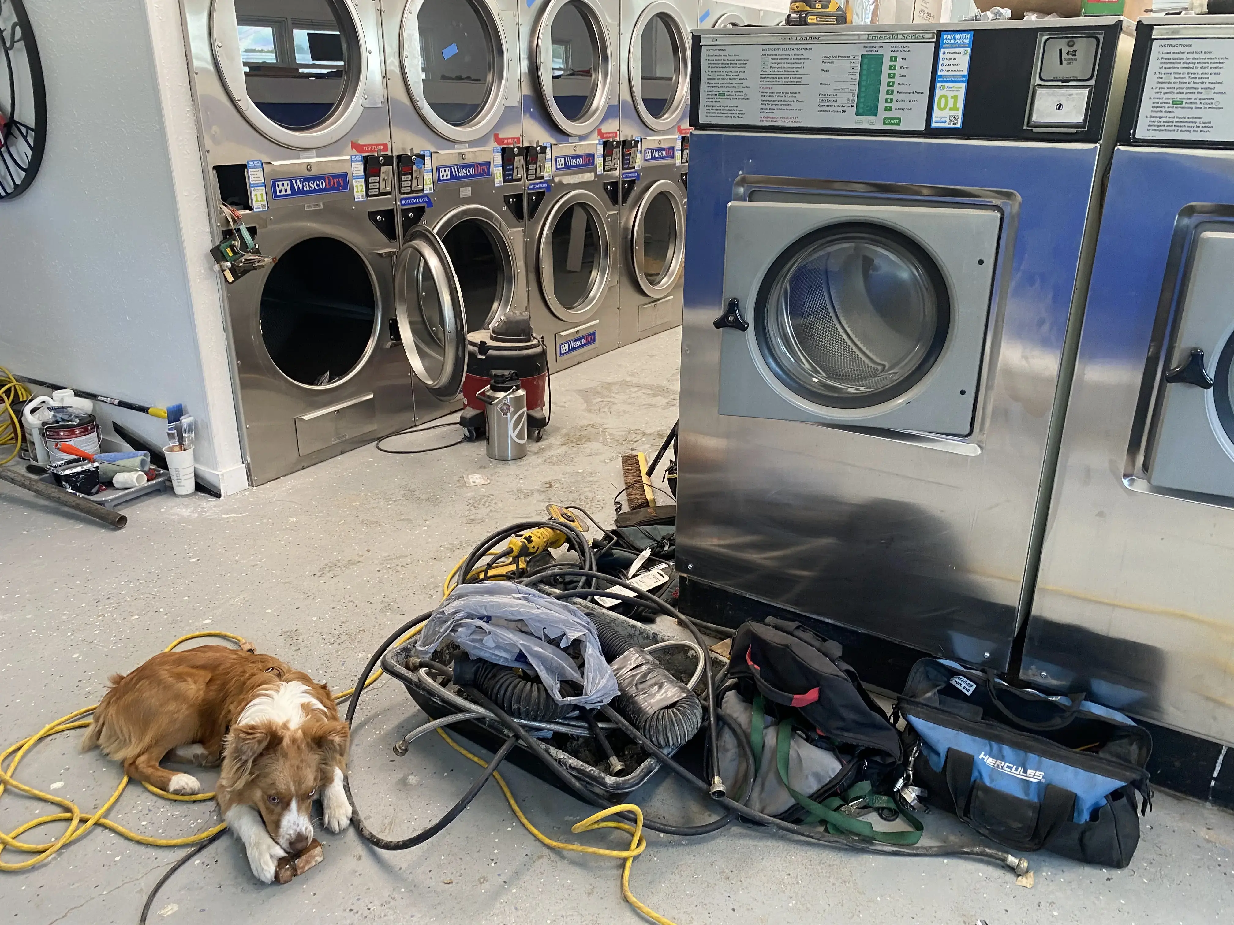 Brookfield Bubbles Laundromat thumbnail 4