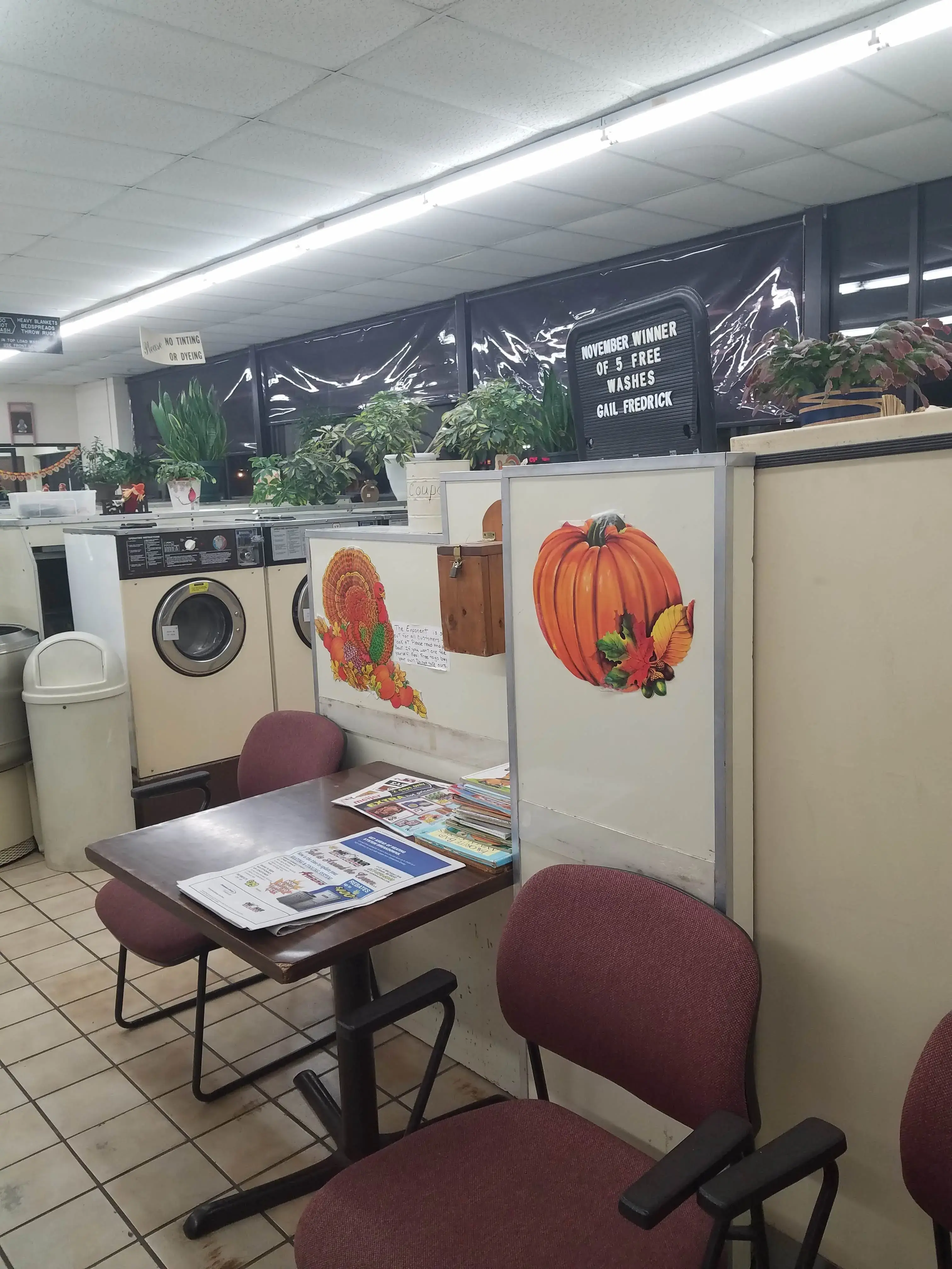 Brooklyn Coin Laundry thumbnail 31