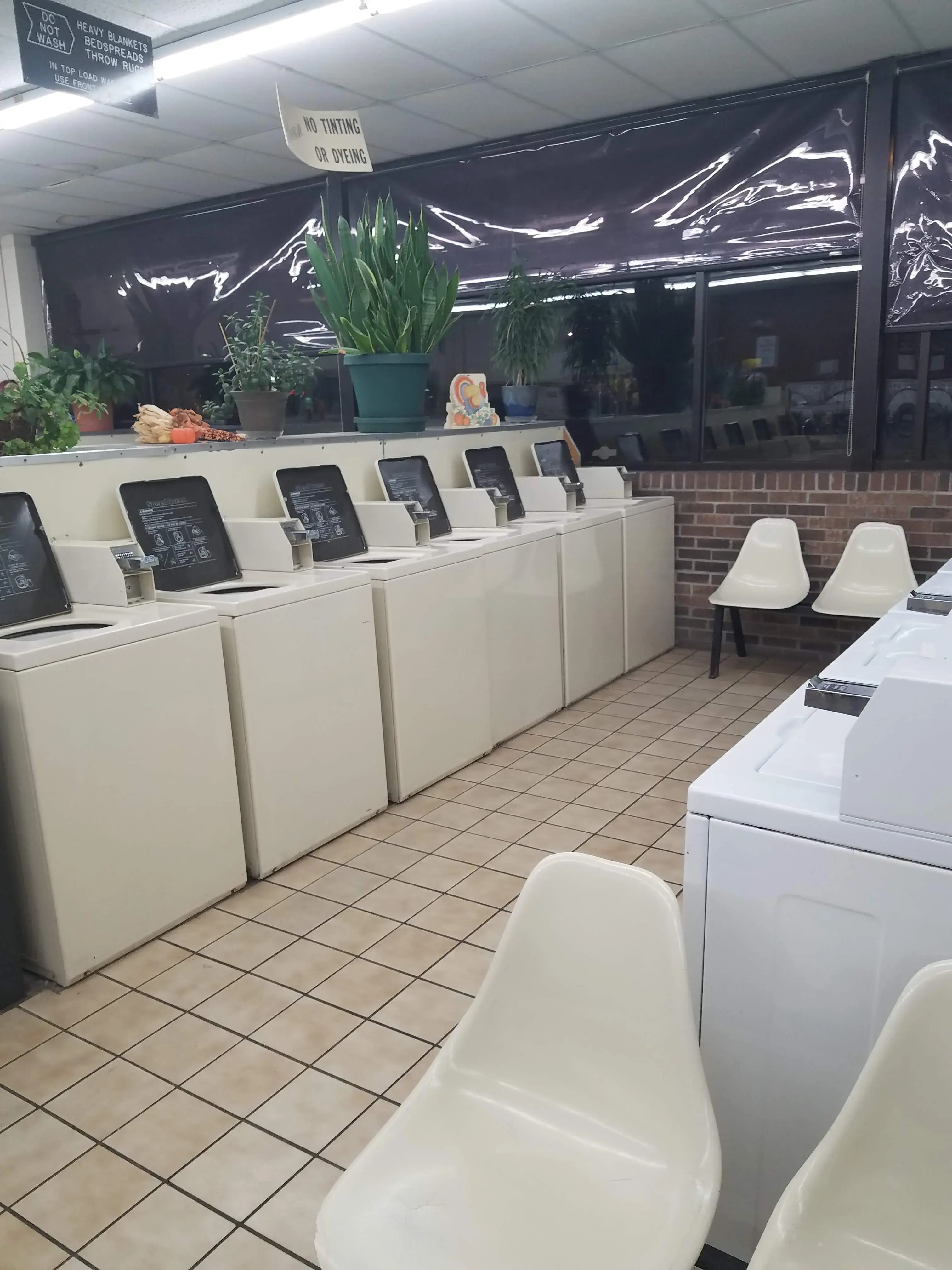 Brooklyn Coin Laundry thumbnail 7