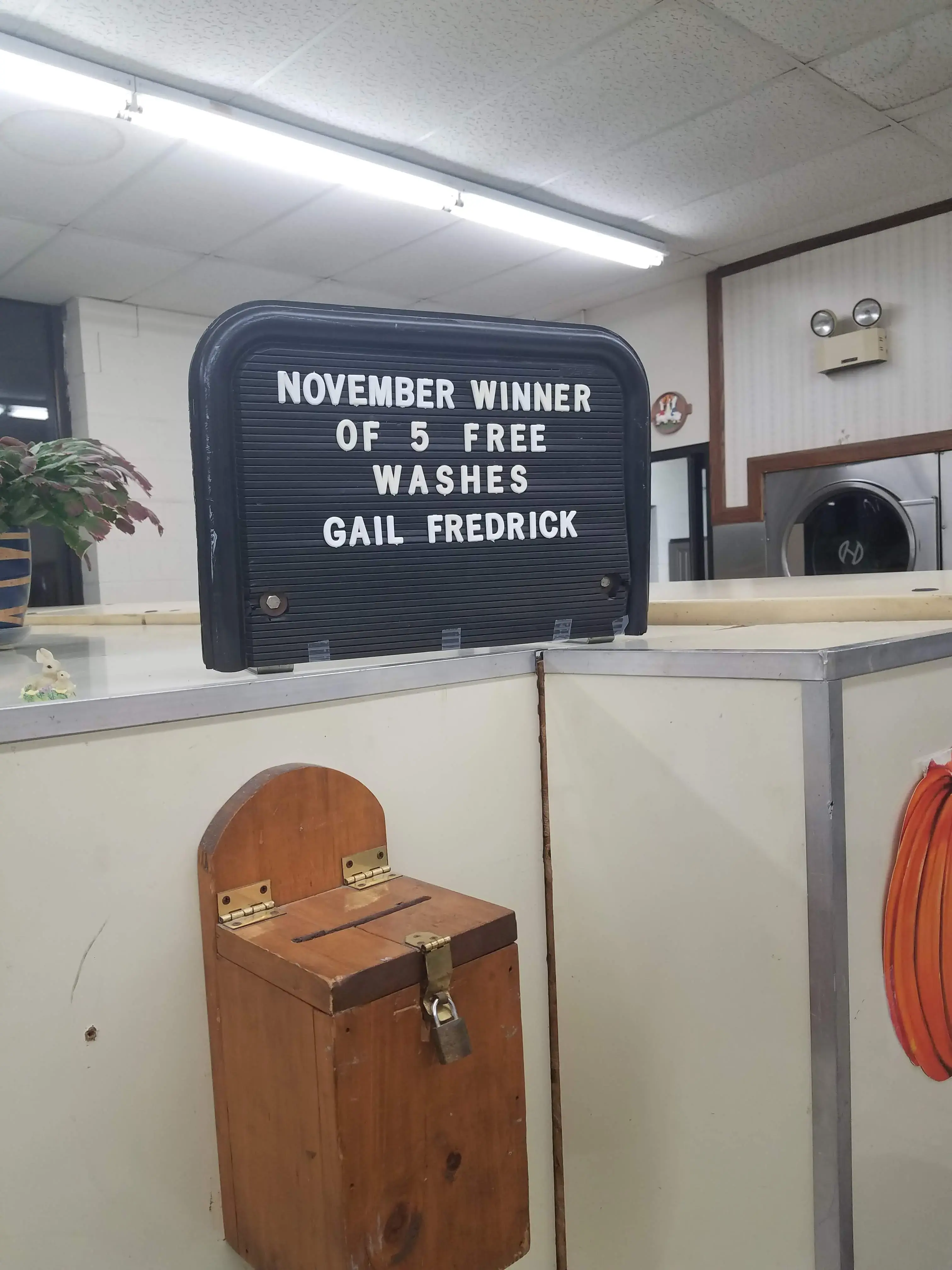 Brooklyn Coin Laundry thumbnail 53