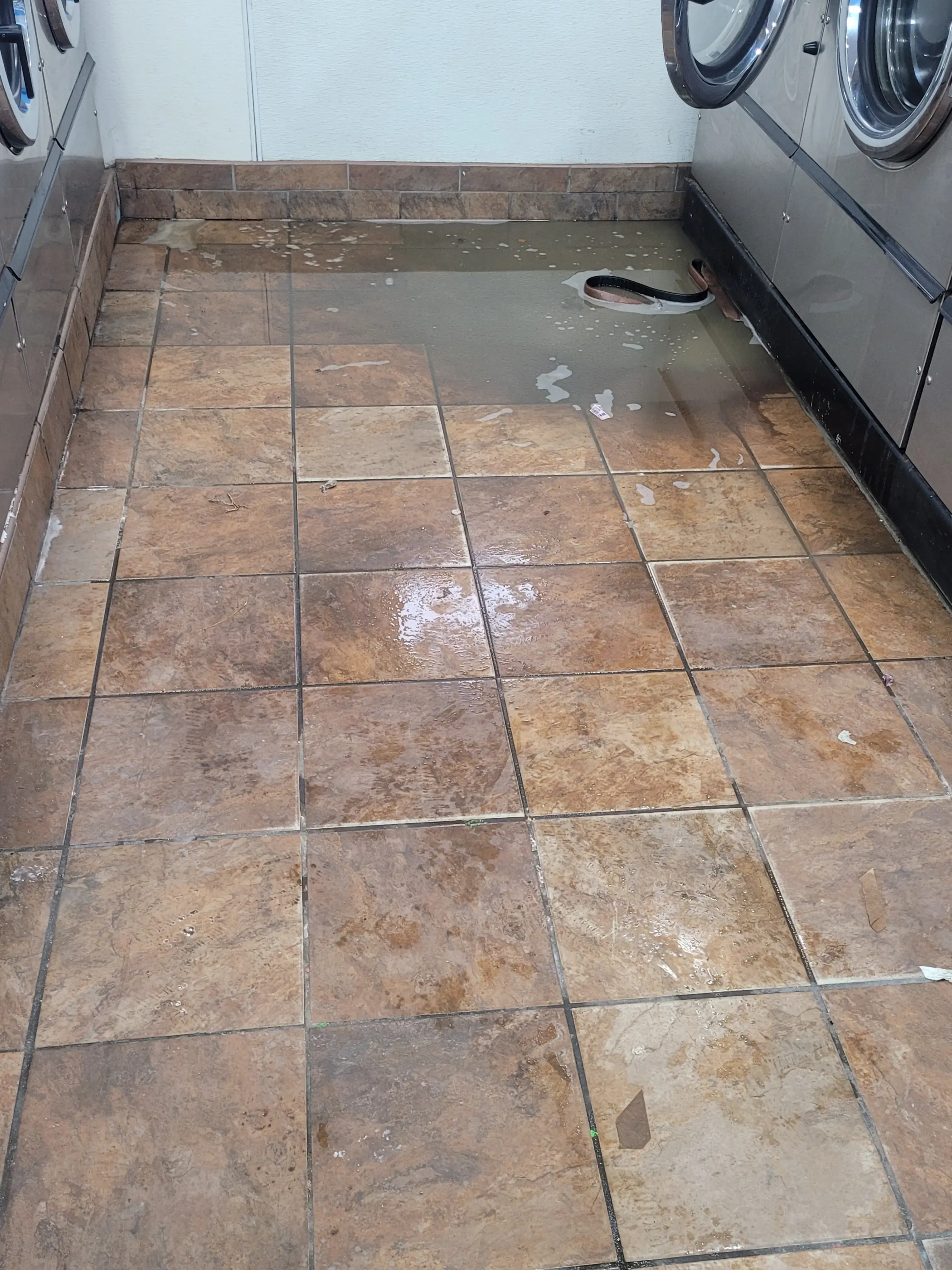 Bubba's Bubbles - Image 11