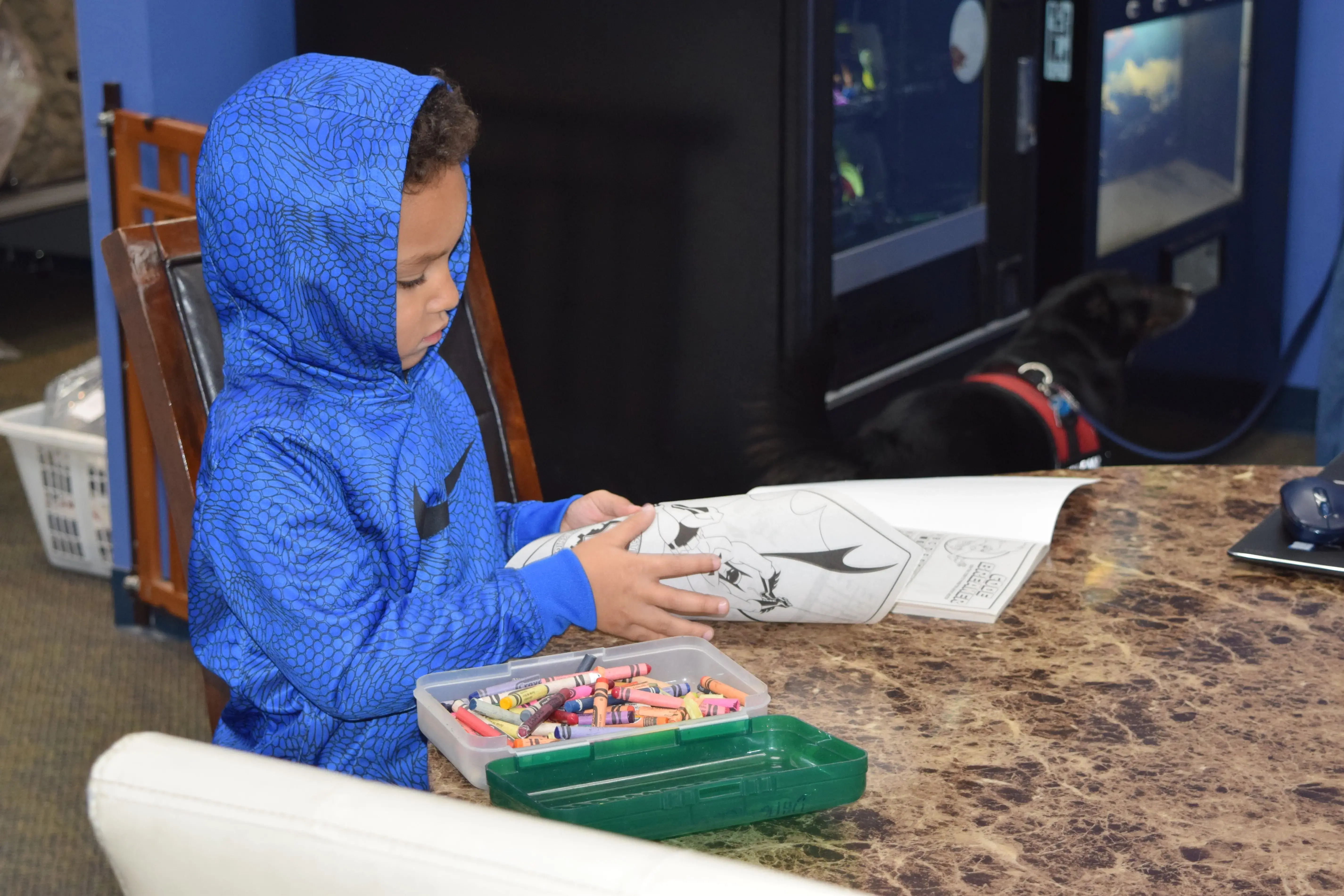 Bubble Fresh Laundry Center thumbnail 10